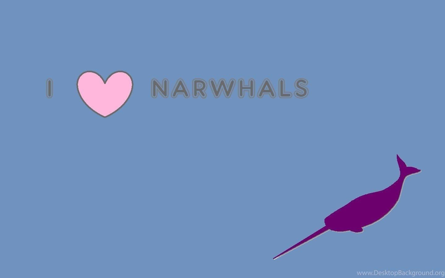 1440x900 Narwhal Wallpaper Desktop Background, Desktop