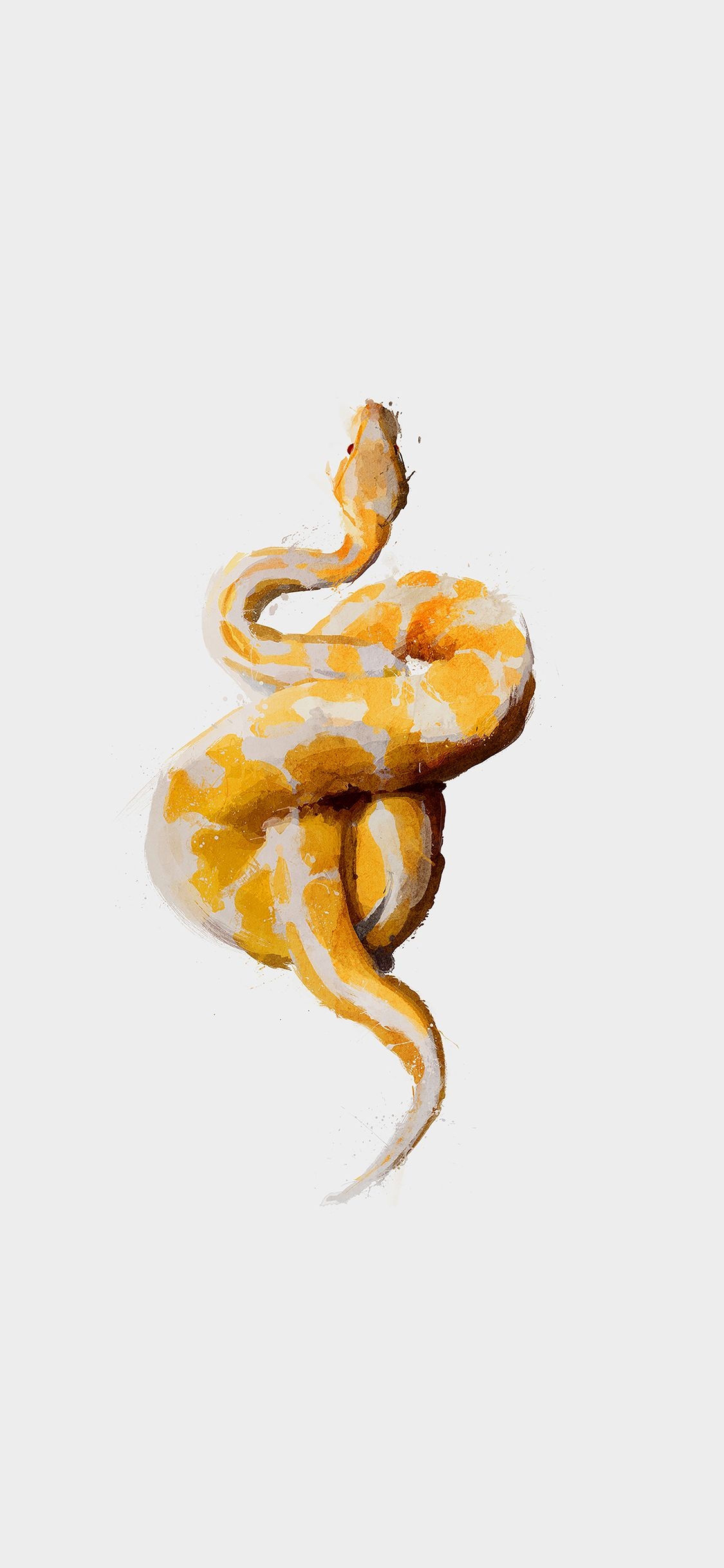 1130x2440 Snake Illust Minimal Art By Garillu Wallpaper, Phone