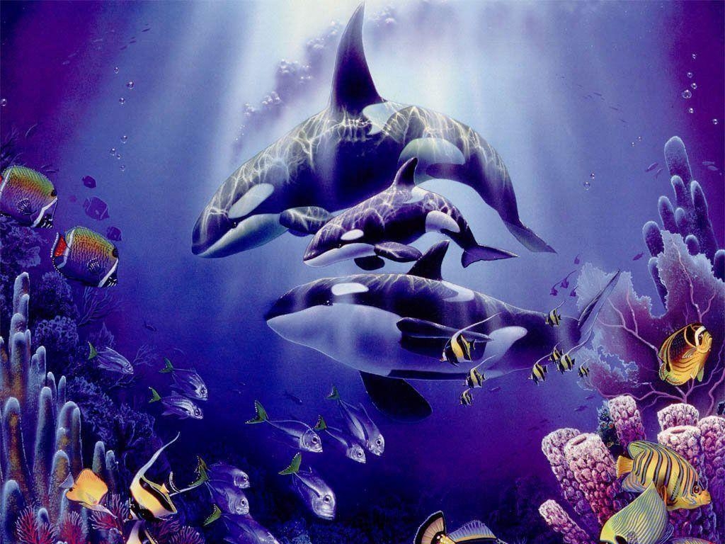 1030x770 Beautifull Purple Orca Wallpaper High Resoluti Wallpaper, Desktop