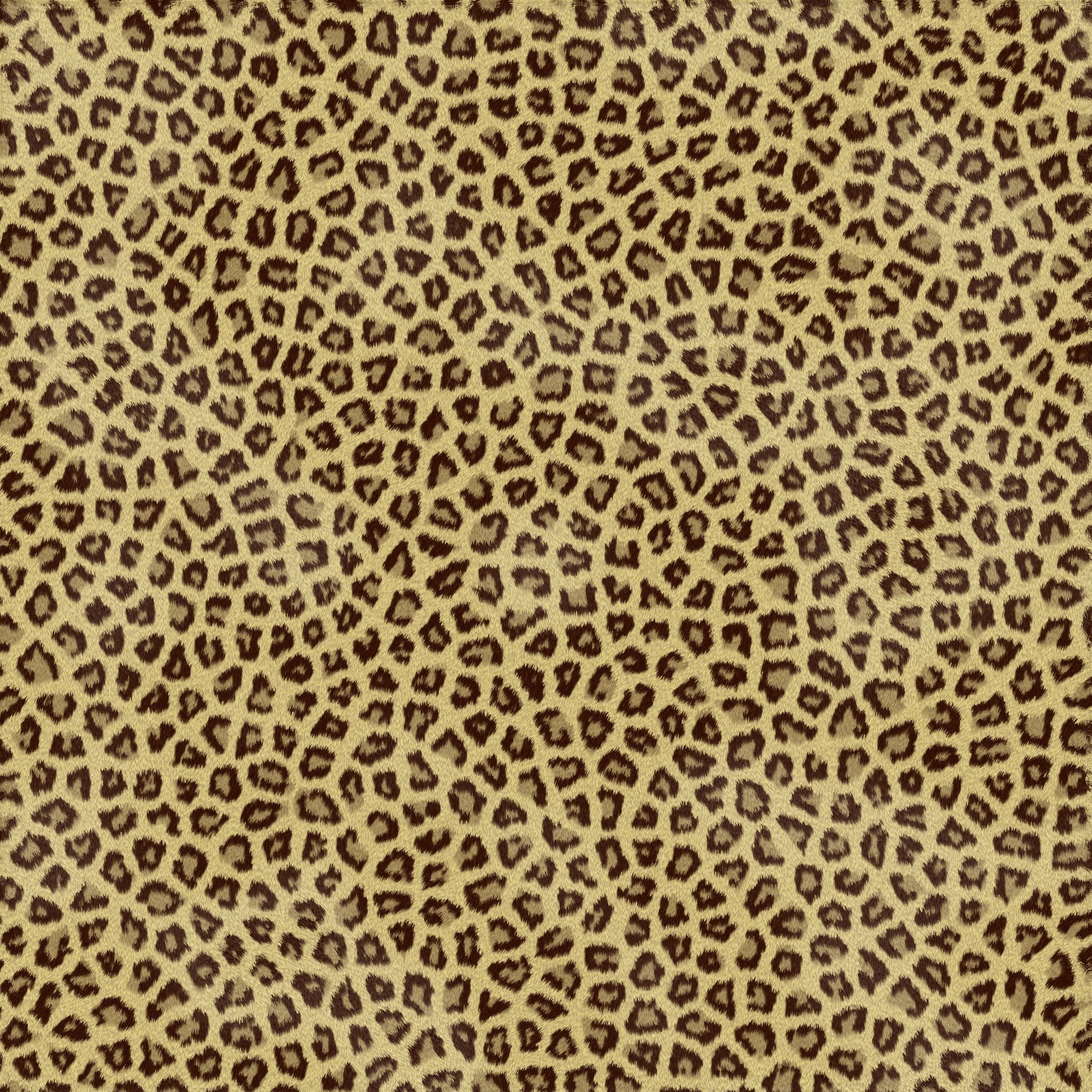 2220x2220 Cheetahs Cheetah Print And Background idolza, Phone