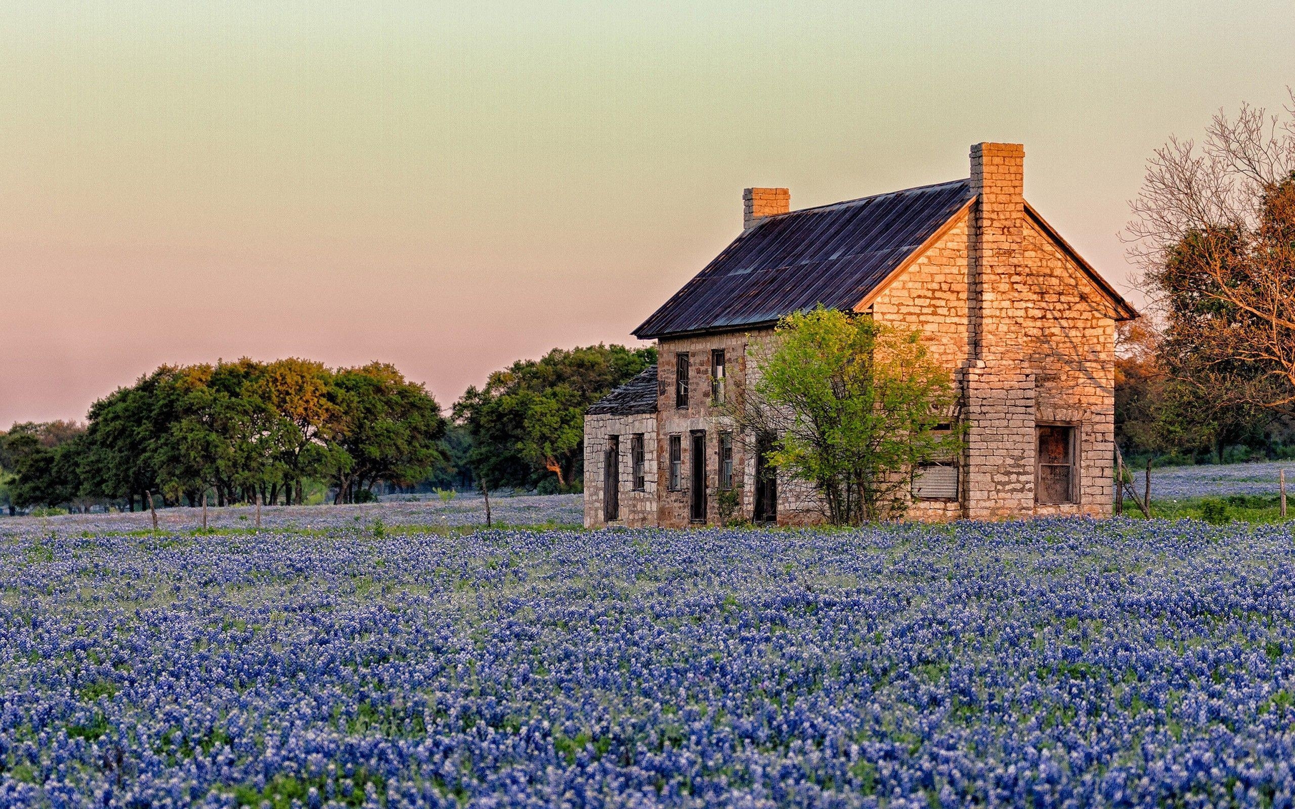 2560x1600 Free Texas Wallpaper, Desktop