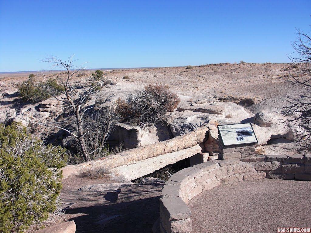 1030x770 Petrified Forest National Park, Desktop