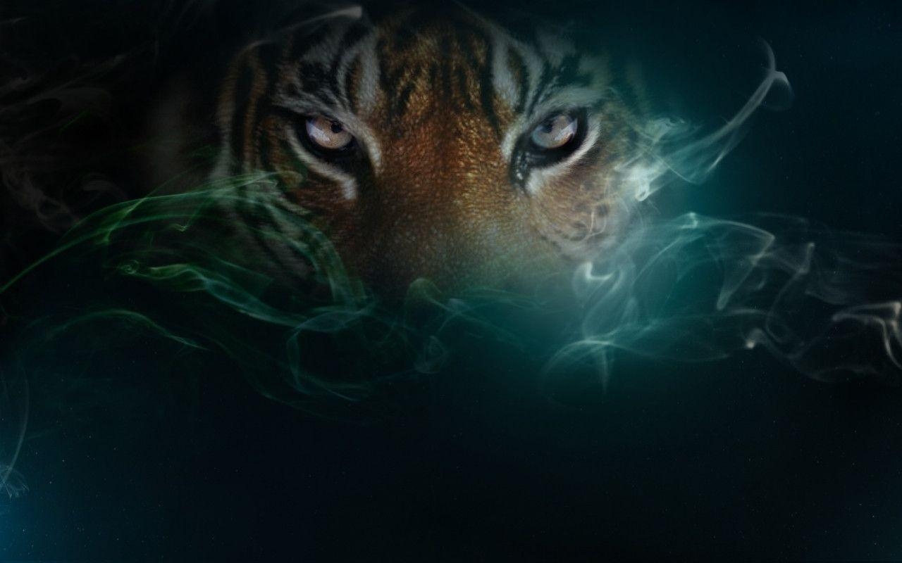 1280x800 Tiger ♥, Desktop