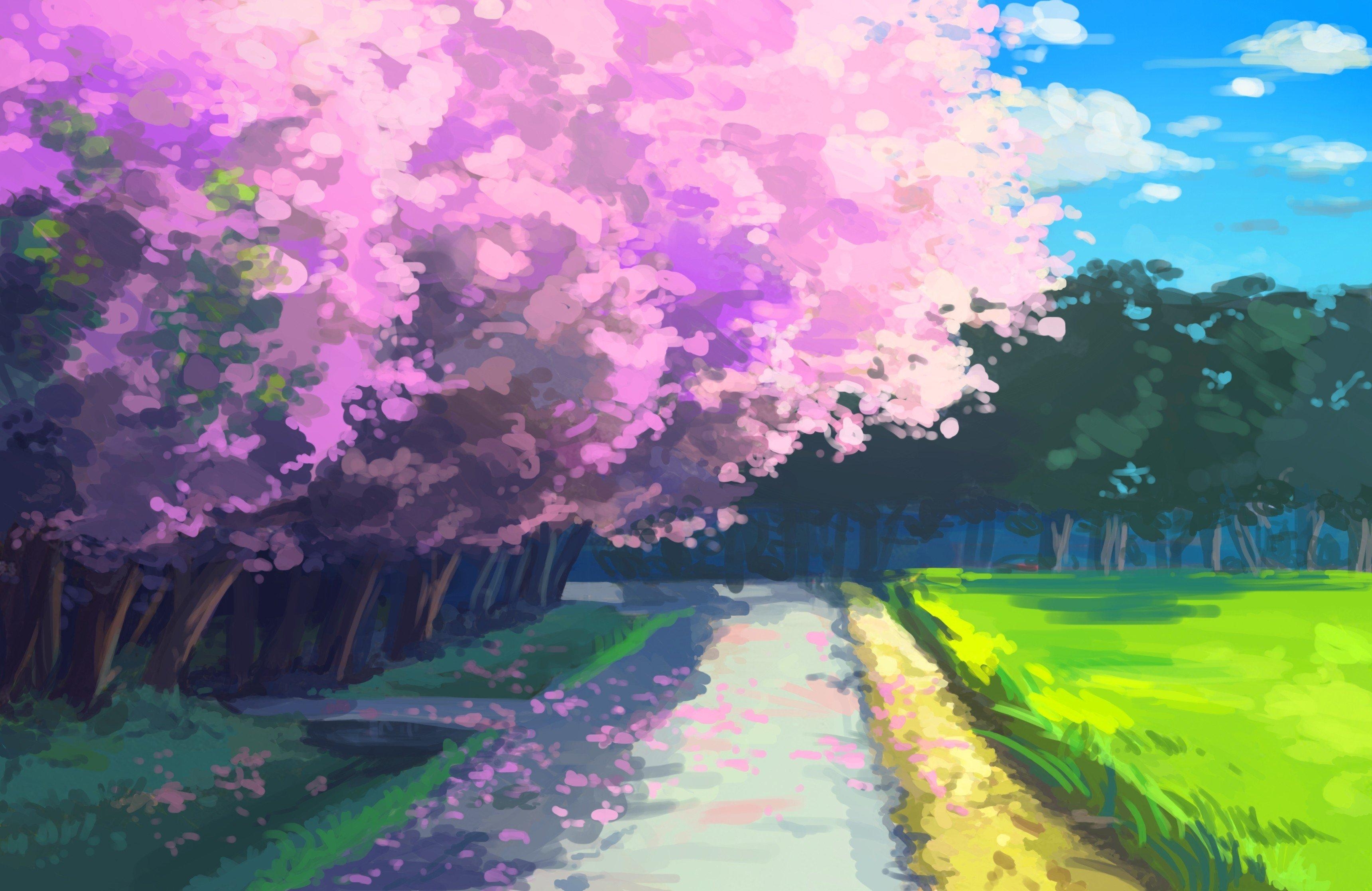 3440x2240 Cherry Blossom Background Anime Wallpaper, Desktop