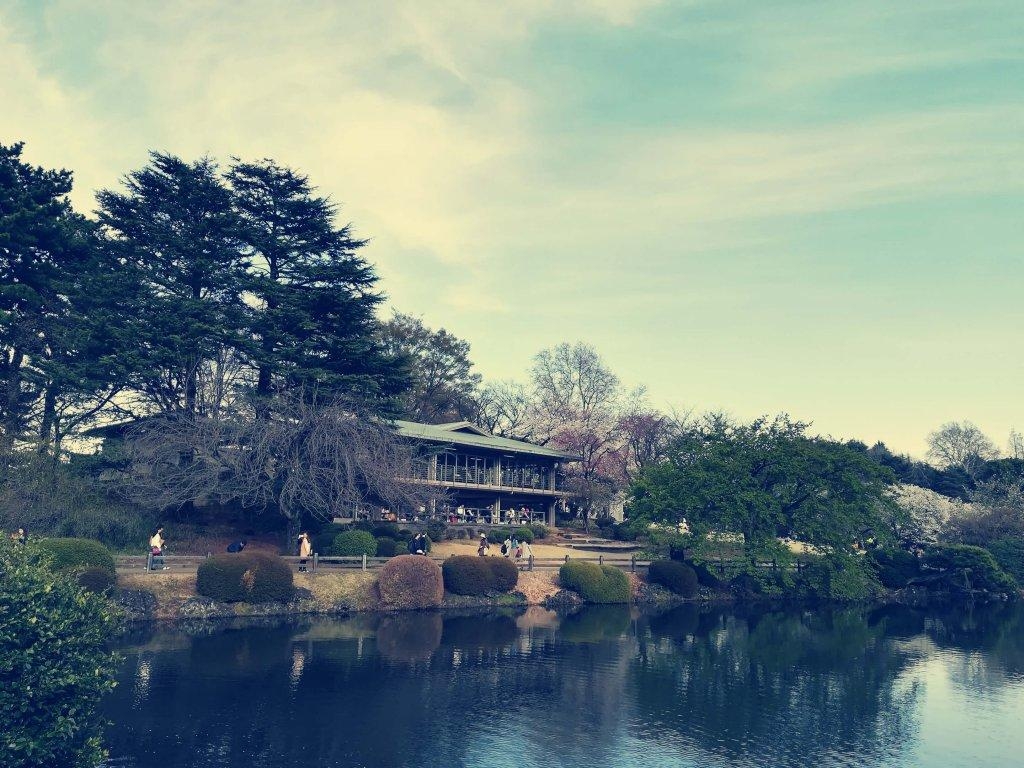 1030x770 Shinjuku Gyoen Highlight and Access Information Summary, Desktop