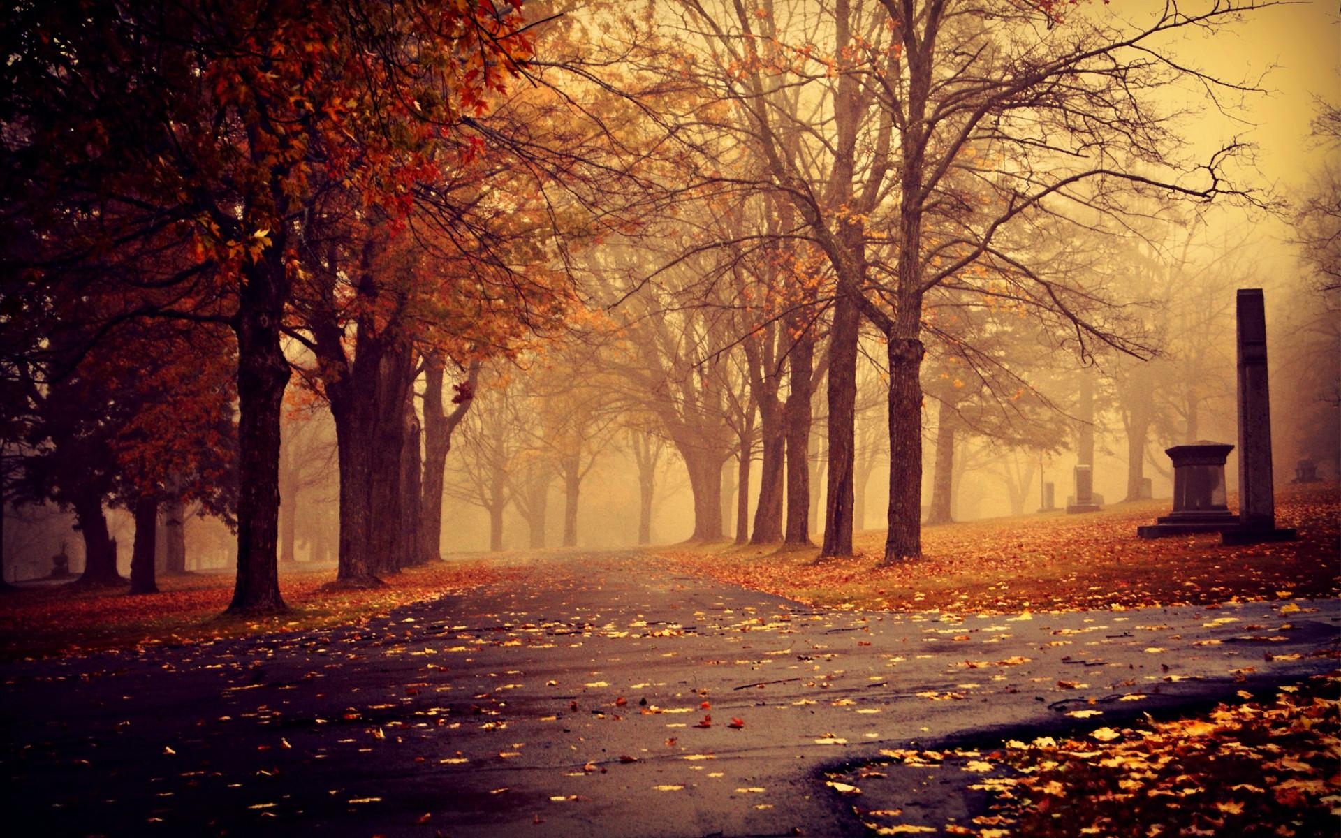 1920x1200 Park im Herbst Hintergrundbilder. Park im Herbst frei fotos, Desktop