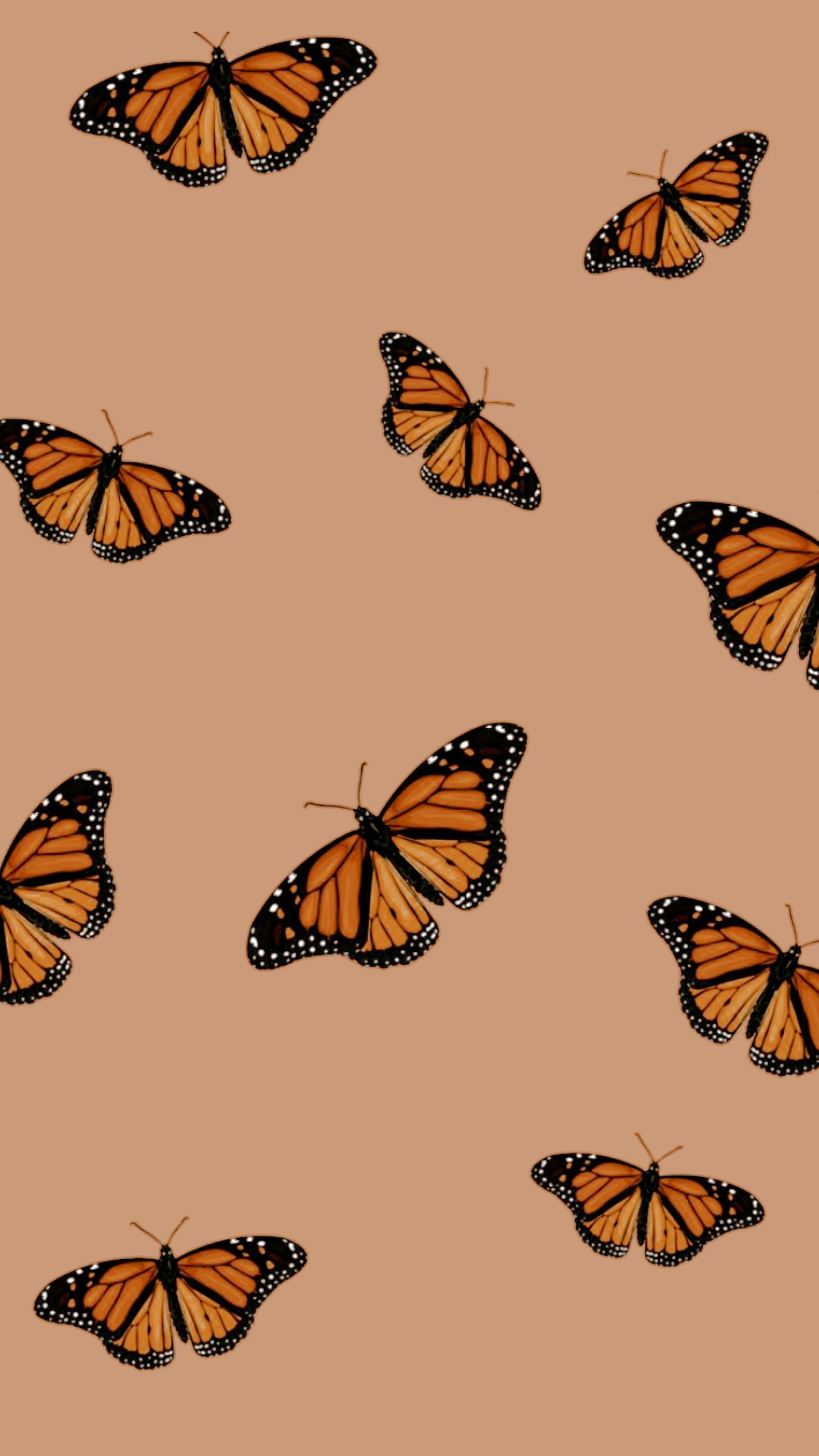 1950x3470 Aesthetic Butterfly Phone Wallpaper #MadeWithPicsArt. Butterfly wallpaper, iPhone wallpaper vintage, Wallpaper vintage, Phone