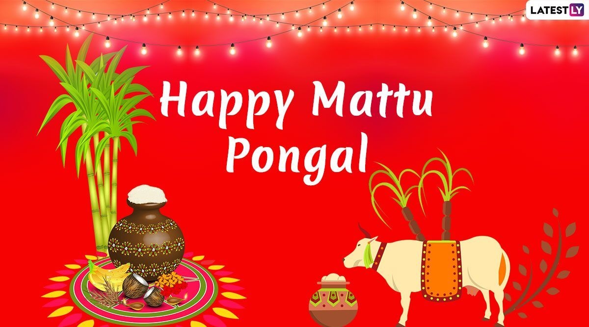 1200x670 Mattu Pongal Image & Kanuma Telugu Greetings HD Wallpaper For Free Download Online: Wish Happy Pongal and Sankranti With WhatsApp Stickers, GIF Greetings and Messages, Desktop