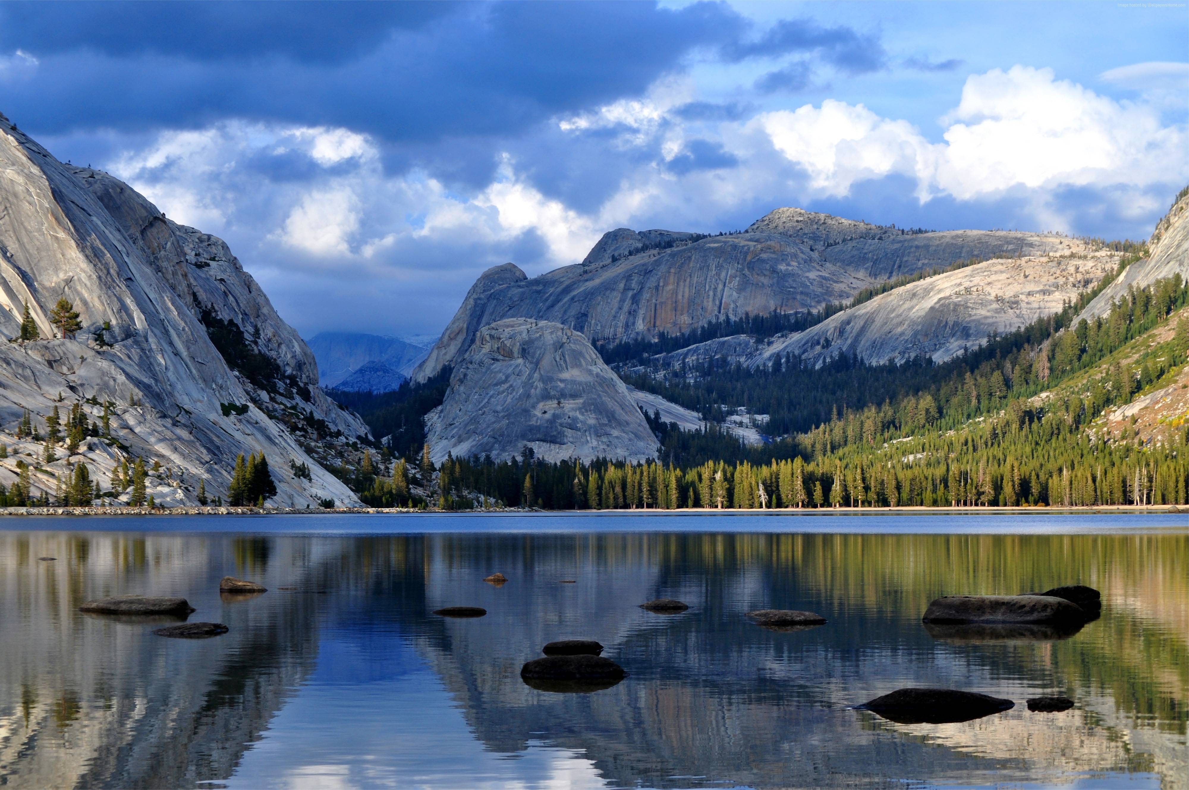 4000x2660 Half Dome Mountain Yosemite National Park California Forest Wallpaper, Desktop