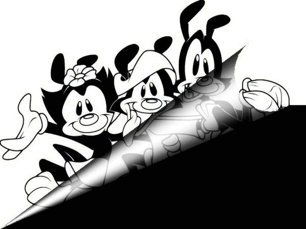 1030x770 Animaniacs Wallpaper, Desktop