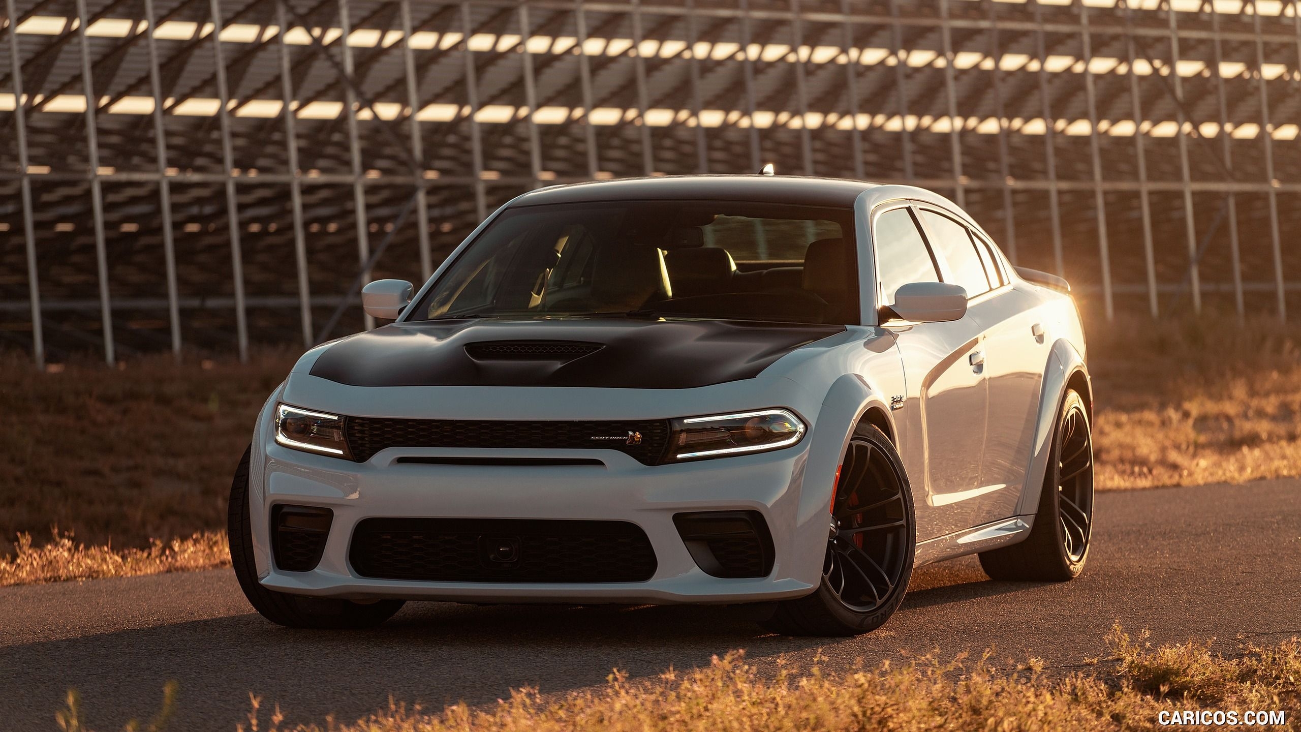 2560x1440 Dodge Charger Scat Pack Widebody. HD Wallpaper, Desktop