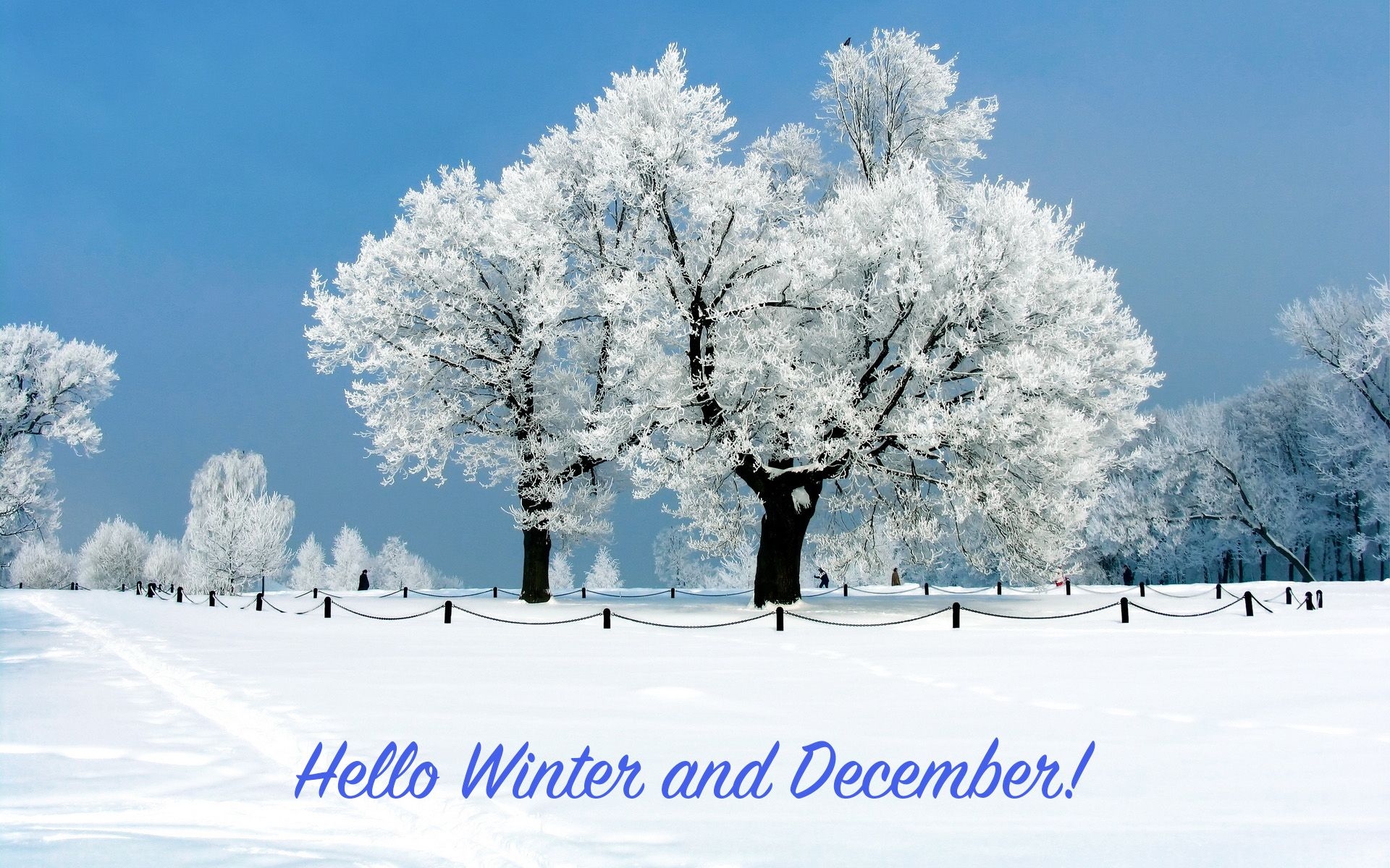 1920x1200 Hello December Wallpaper, Desktop