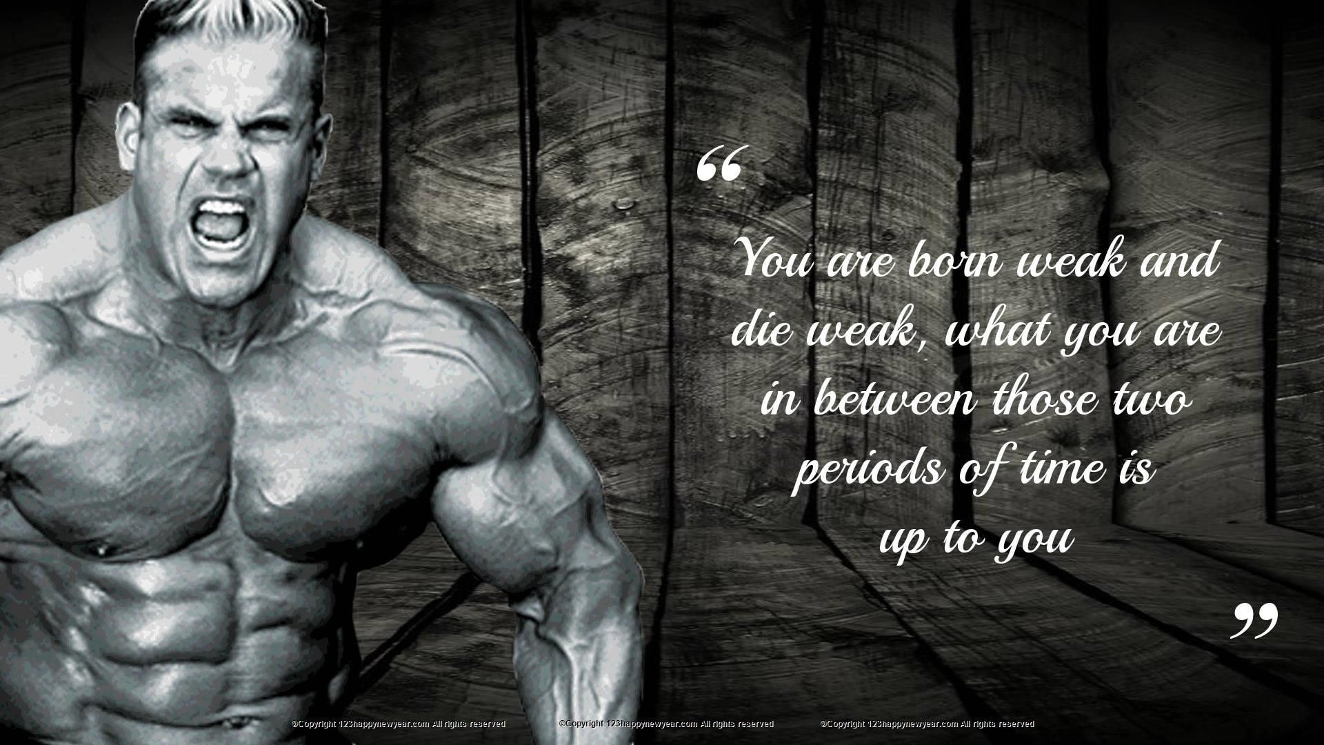 1920x1080 Gym Bodybuilding Full HD Wallpaper 1080p Wallpaper & Background Download, Desktop