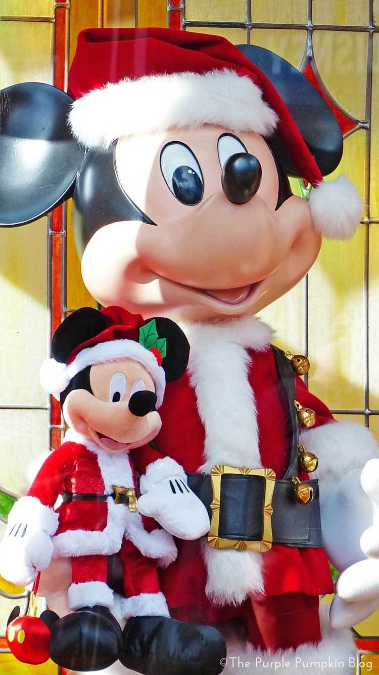 750x1340 Walt Disney World Christmas iPhone Wallpaper HD Wallpaper, Phone