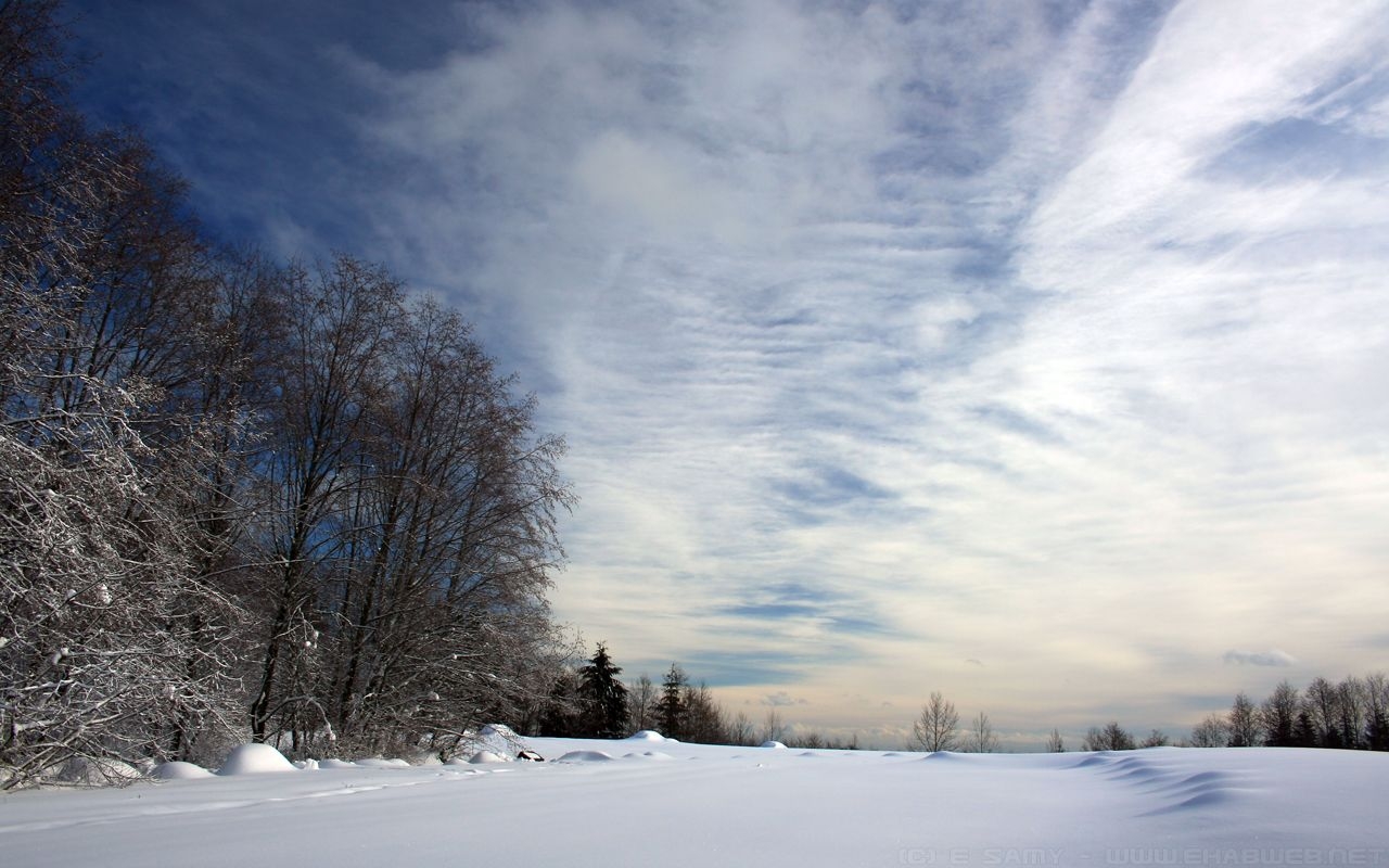 1280x800 Snowy Landscape Wallpaper, Desktop