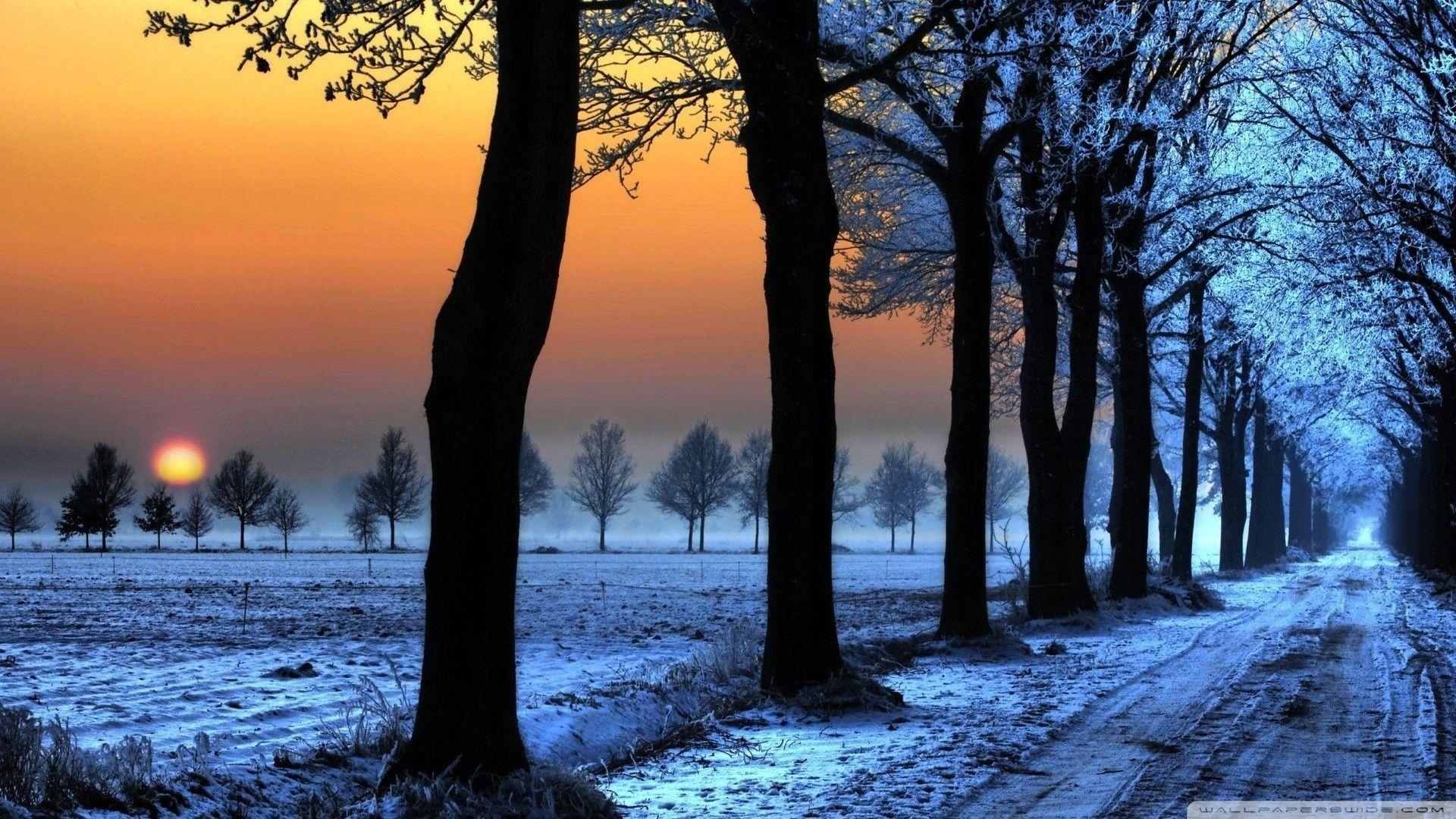 1920x1080 Beautiful Nature Winter Wallpaper, Desktop