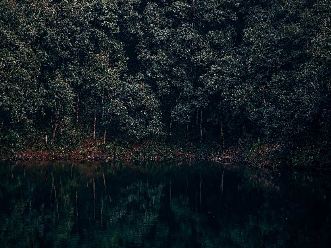 1160x870 Download wallpaper  lake, trees, forest, reflection, begnas, Desktop