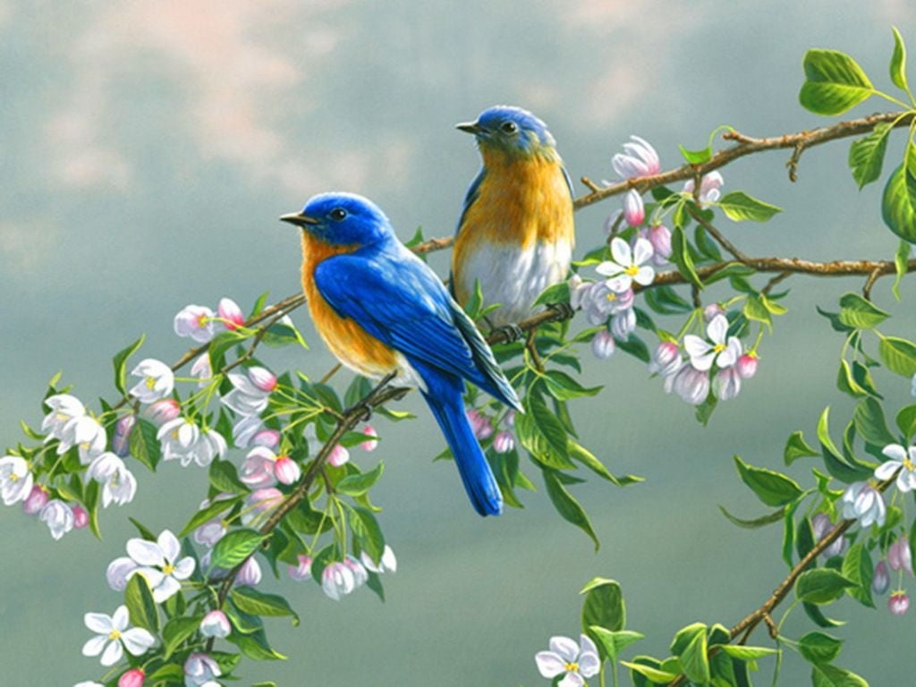 1030x770 Spring Birds and Flowers Wallpaper, Desktop