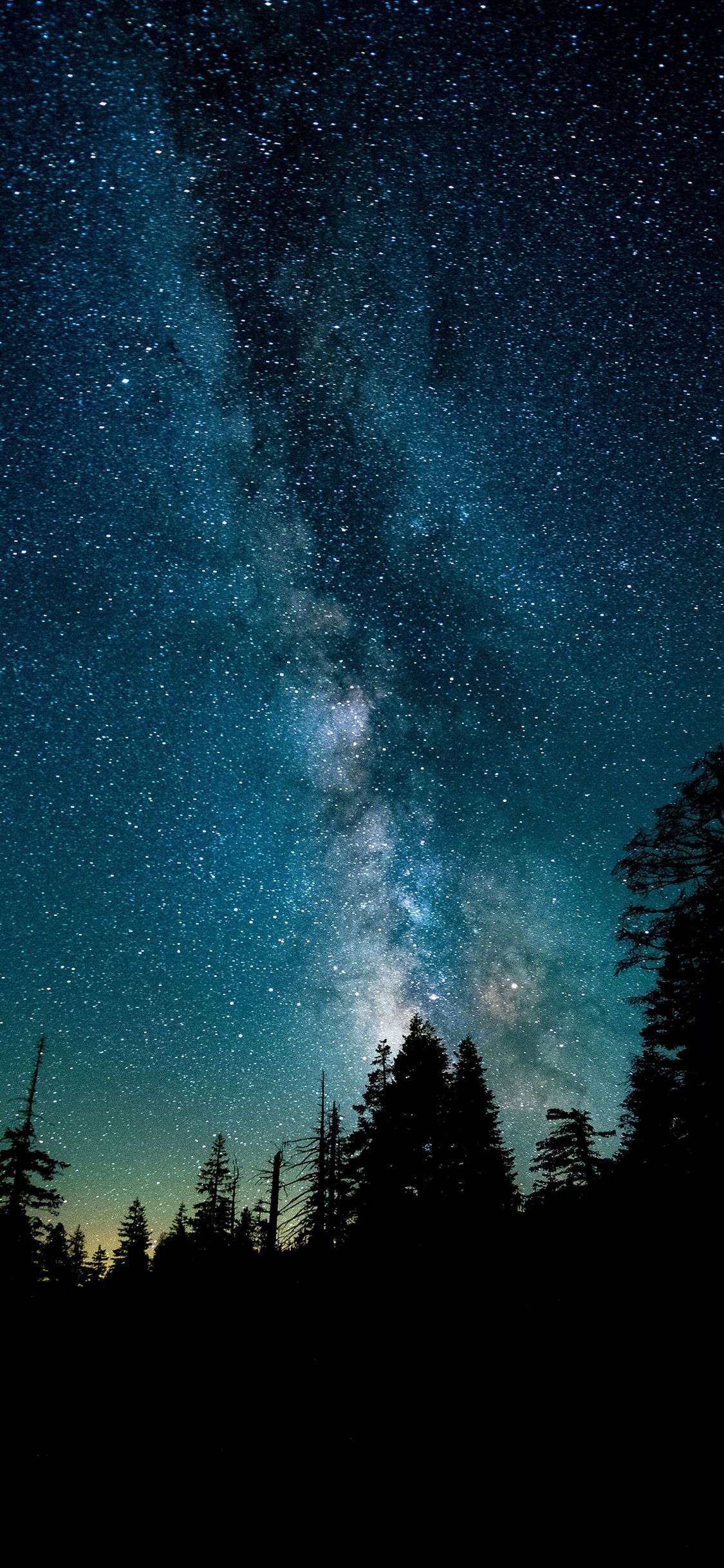 1130x2440 iPhone Night Sky Wallpaper 4k, Phone