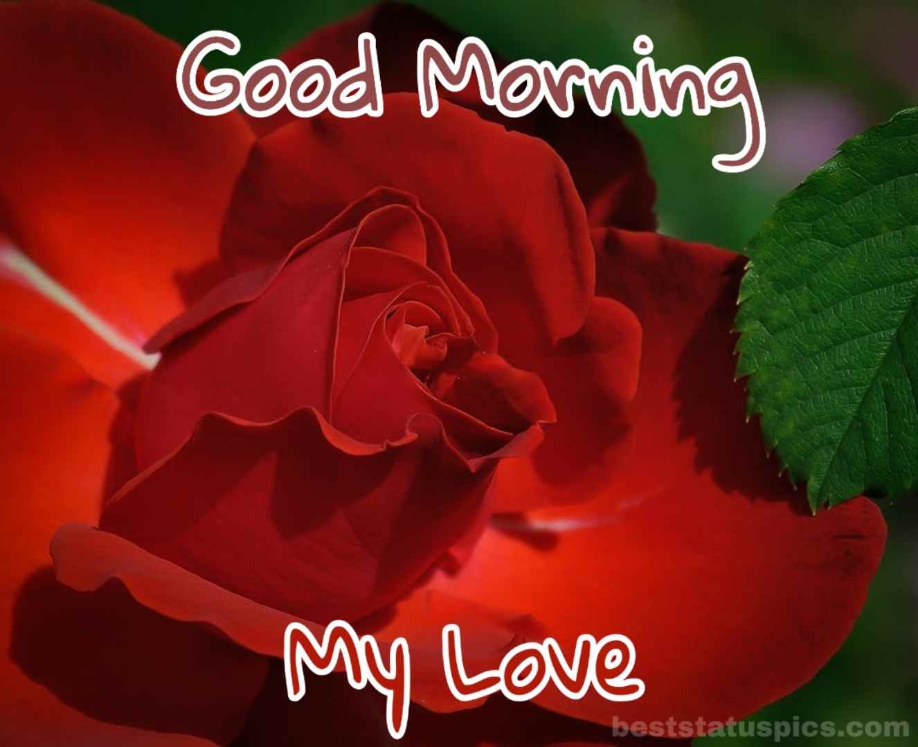 1330x1080 Good Morning My Love With Rose For A Lover HD Wallpaper, Desktop