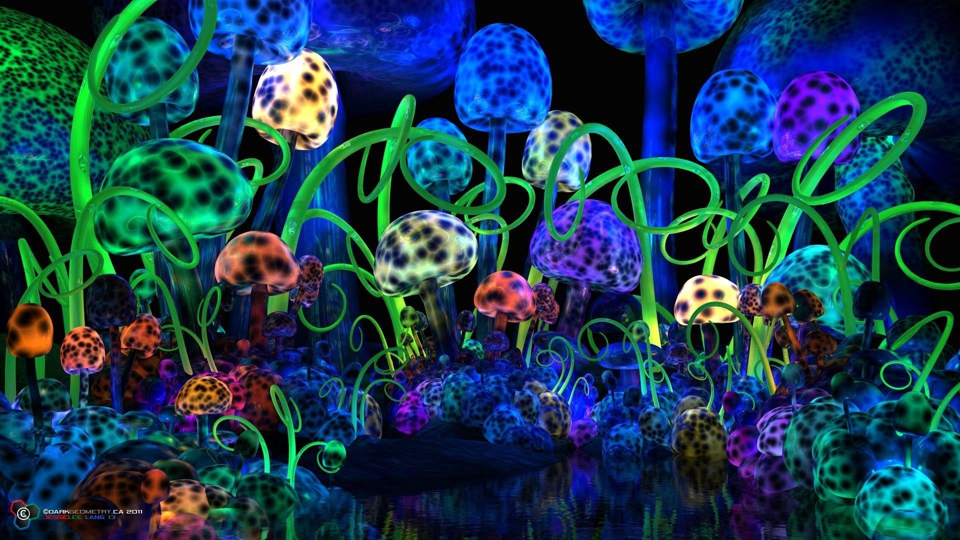 1920x1080 Shroom Wallpaper, Desktop