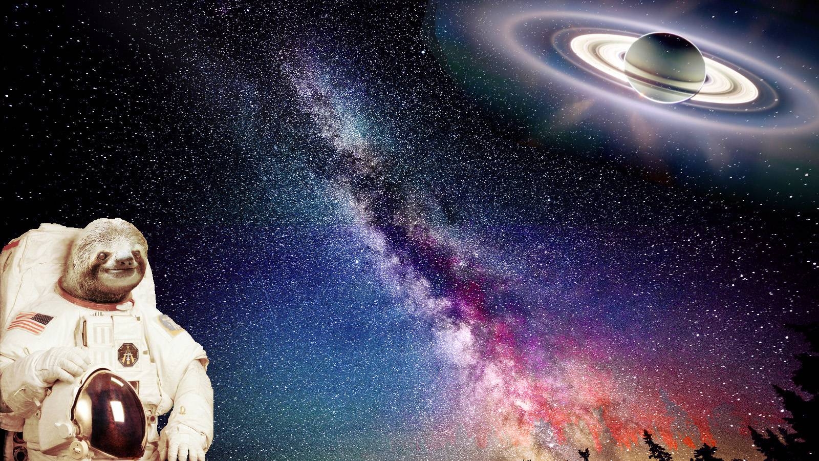 1600x900 Sloths in Space: Wallpaper Edition, Desktop