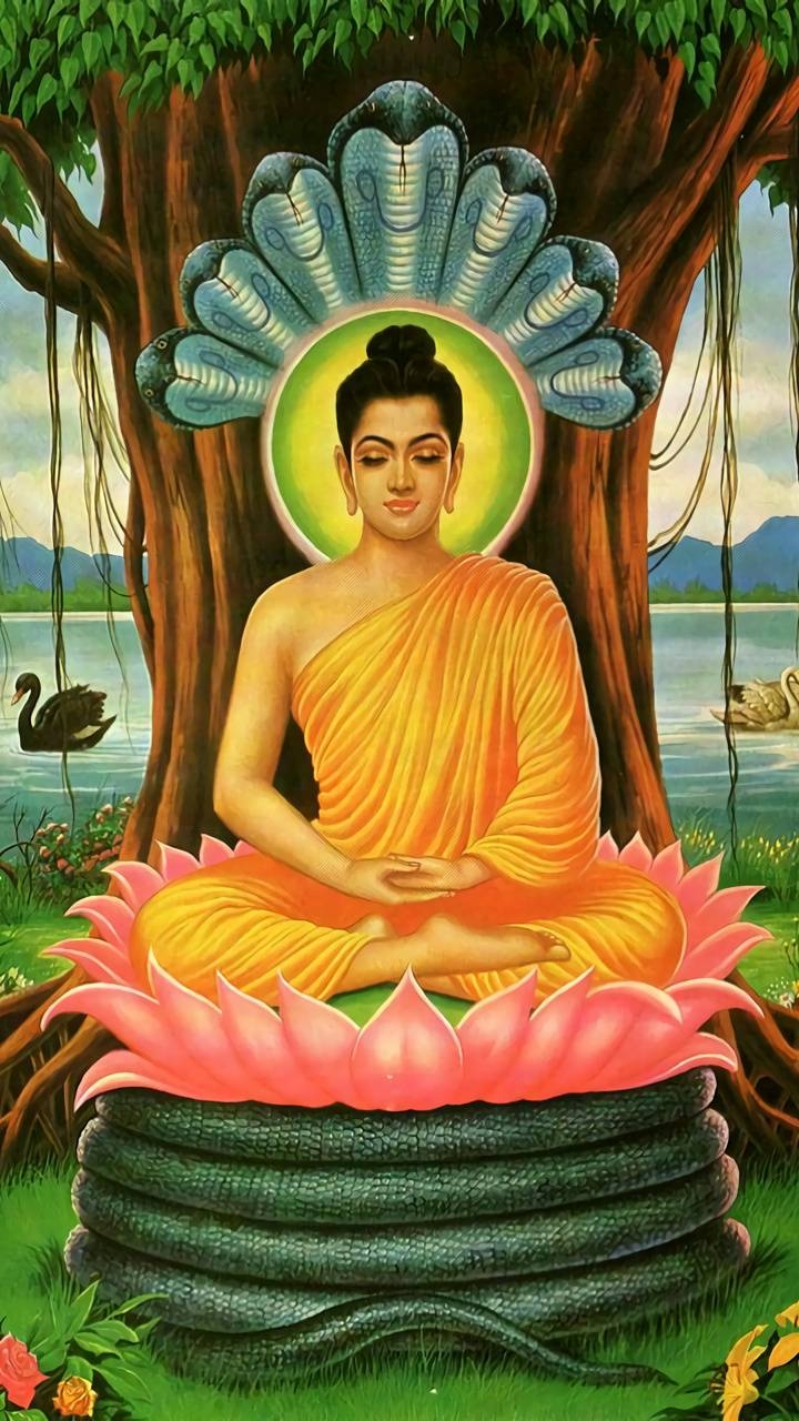 720x1280 New Buddha wallpaper picture, Phone