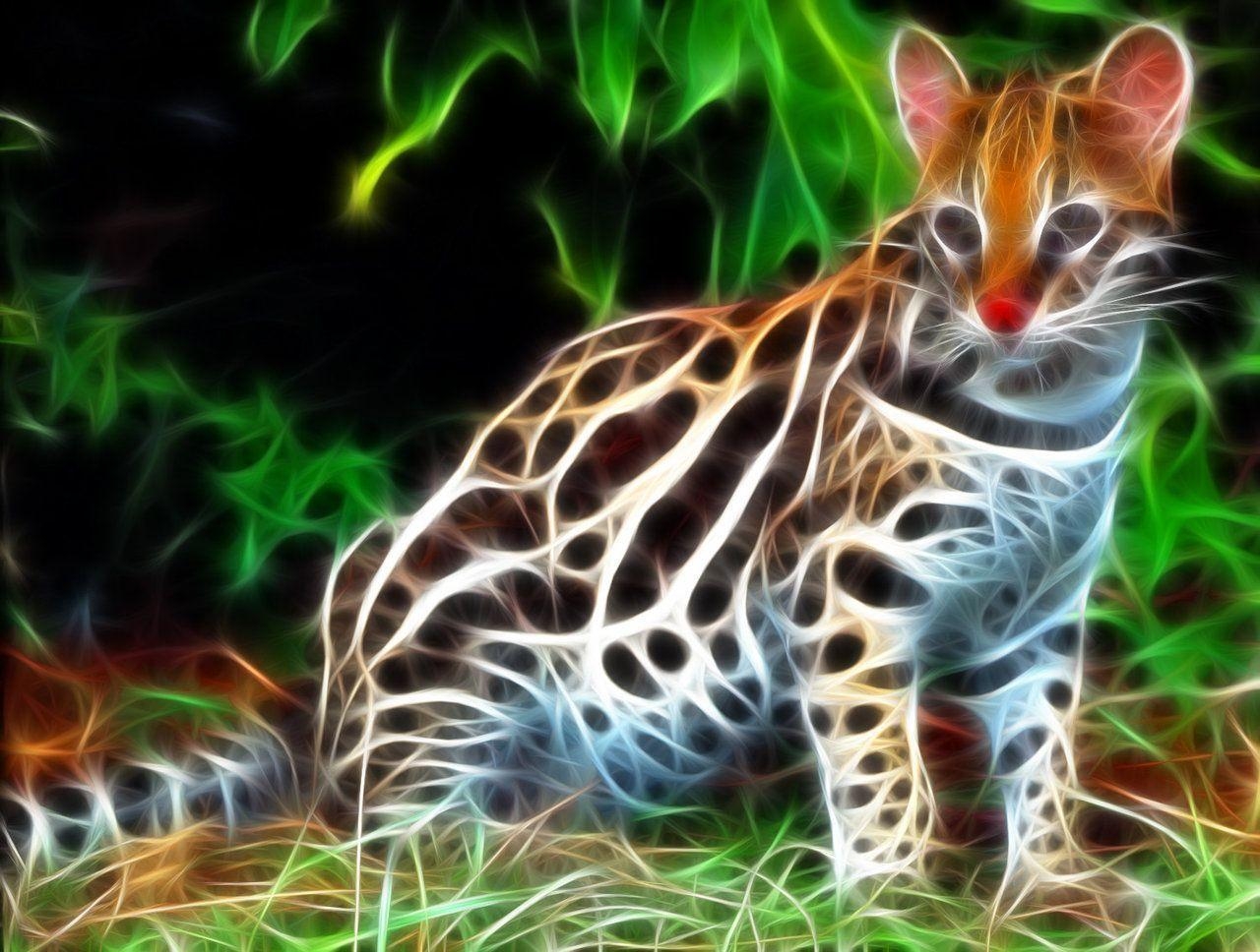 1280x970 ocelot, Desktop