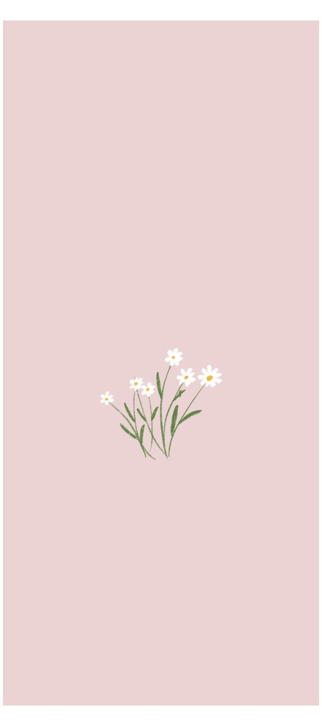 1100x2480 flowers #flower #minimalist #wallpaper #flowerminimalistwallpaper. iPhone wallpaper plants, Minimalist wallpaper phone, Vintage flowers wallpaper, Phone