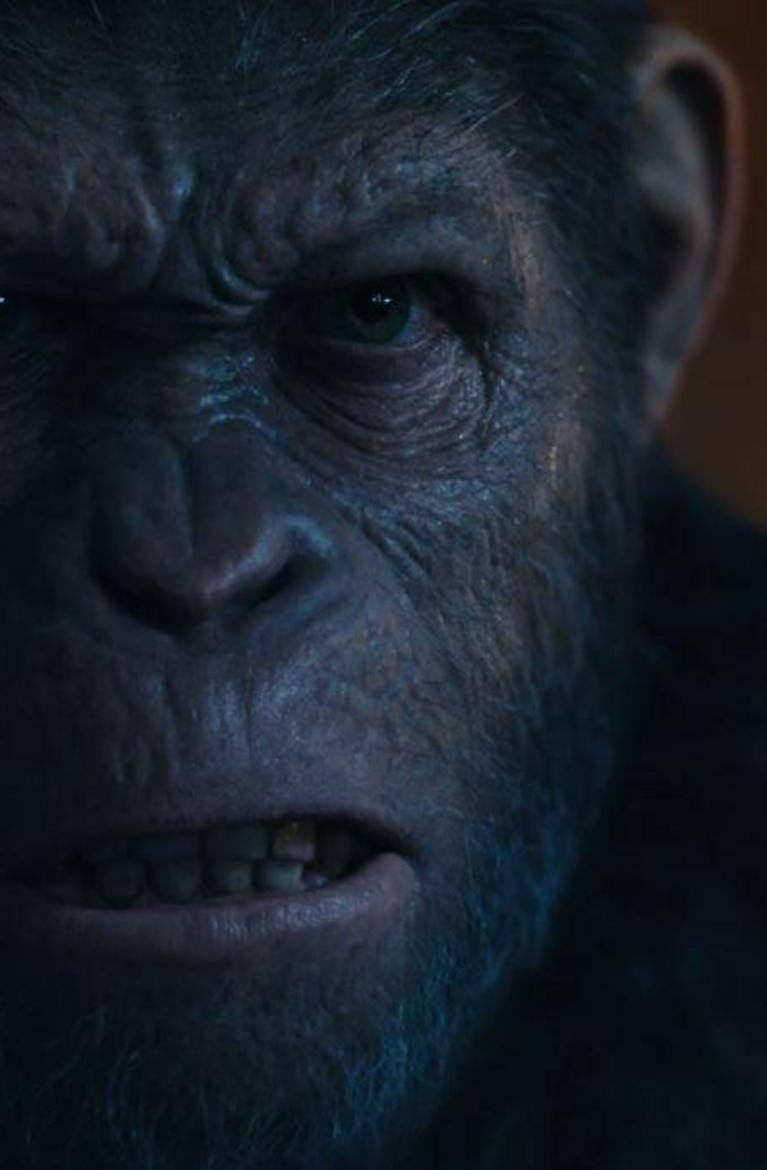 770x1170 War for the Planet of the Apes (2017) HD Wallpaper From Gallsource, Phone