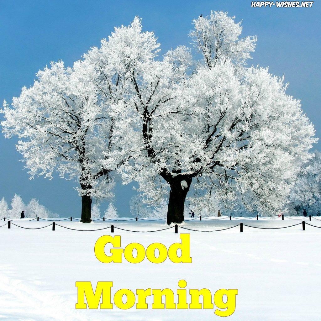 1030x1030 Winter Good Morning Wishes Quotes & Image, Phone