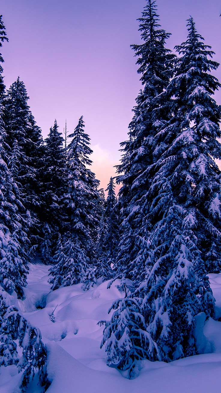 740x1310 x Winter Landscapes iPhone Wallpaper Collection, Phone