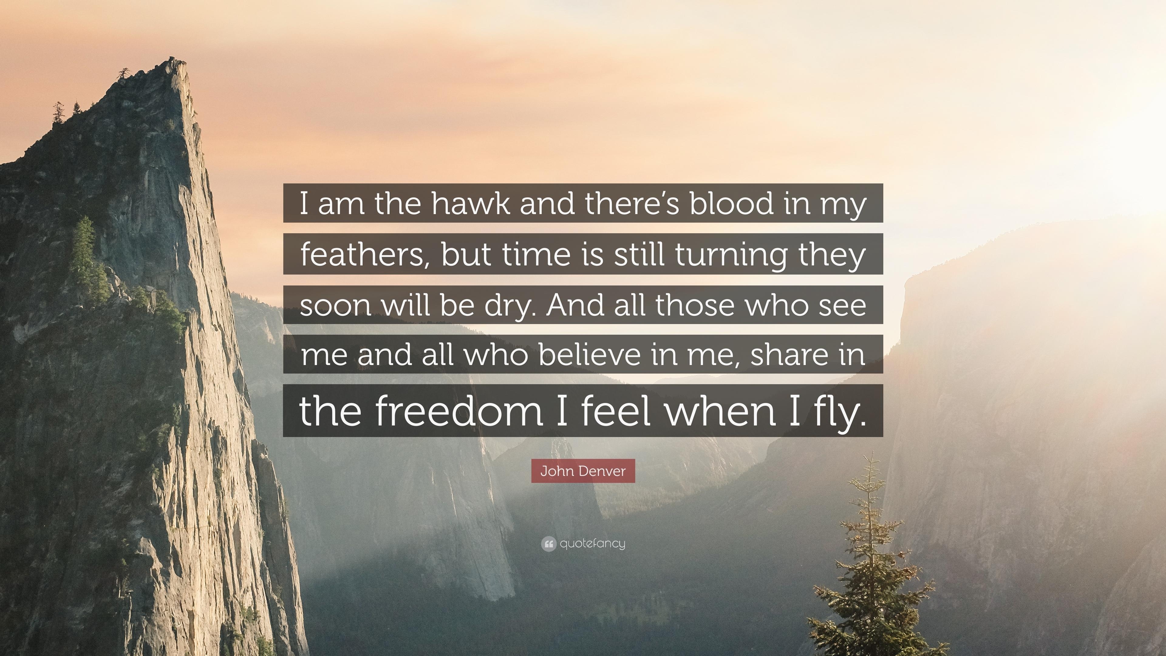 3840x2160 John Denver Quote: “I am the hawk and there's blood in my feathers, Desktop