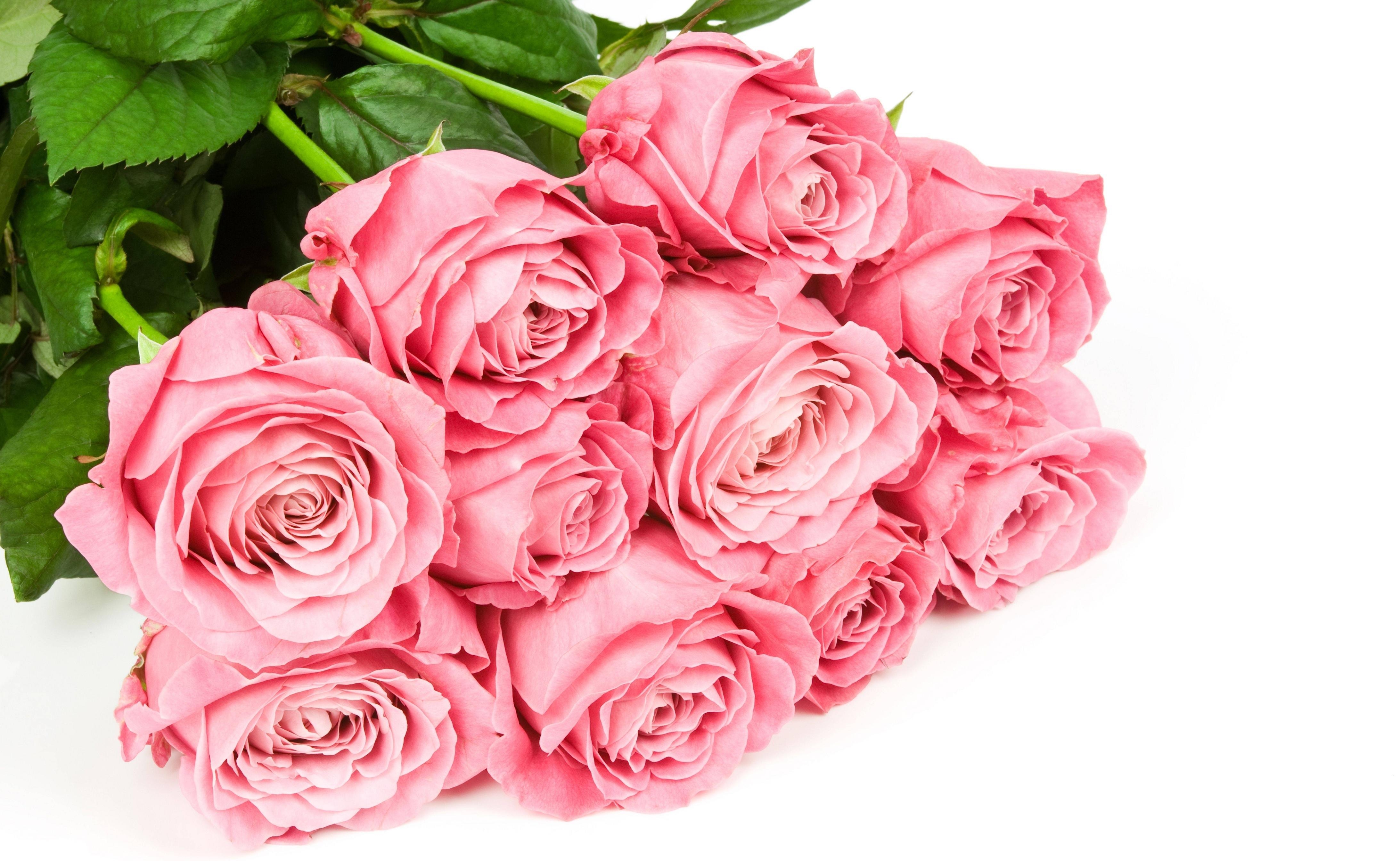 4380x2690 Lovely Pink Rose Bouquet HD Wallpaper, Desktop