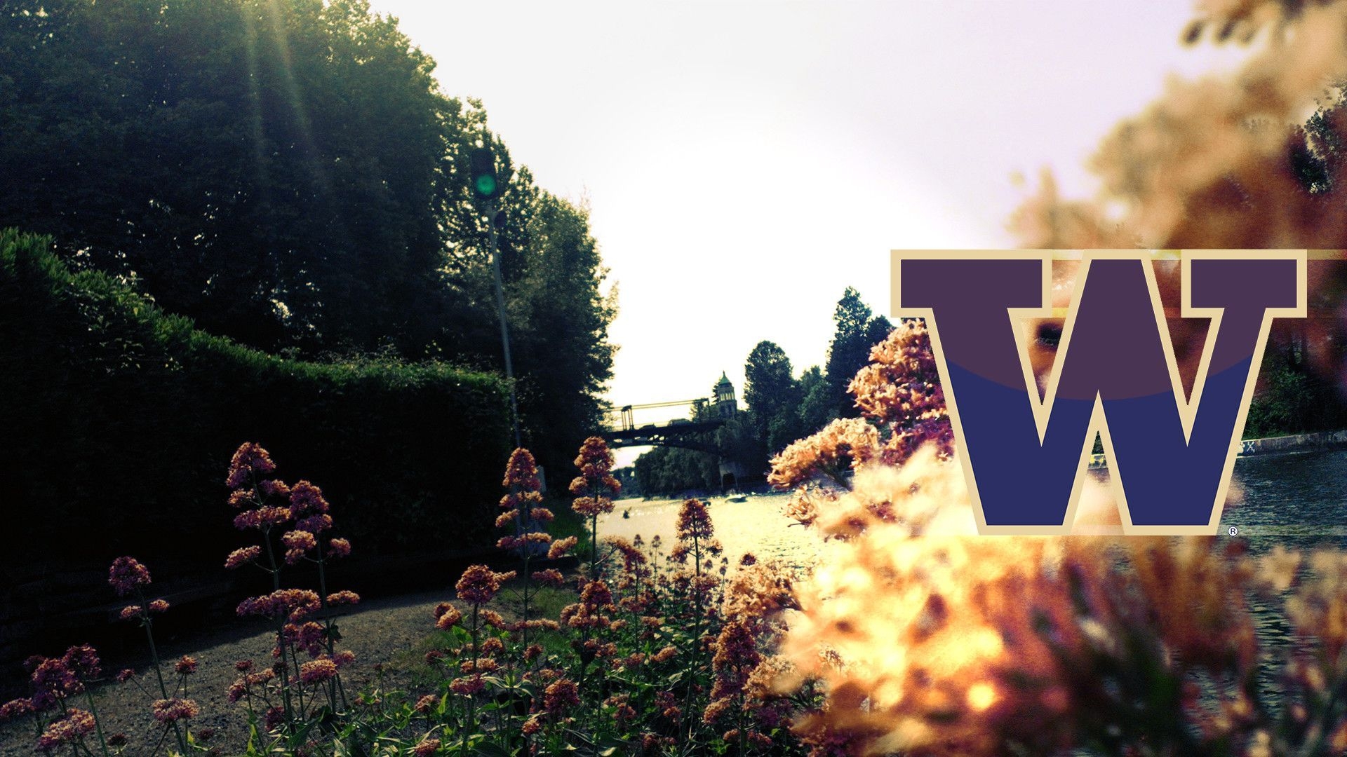 1920x1080 University of Washington Wallpaper Free University of Washington Background, Desktop