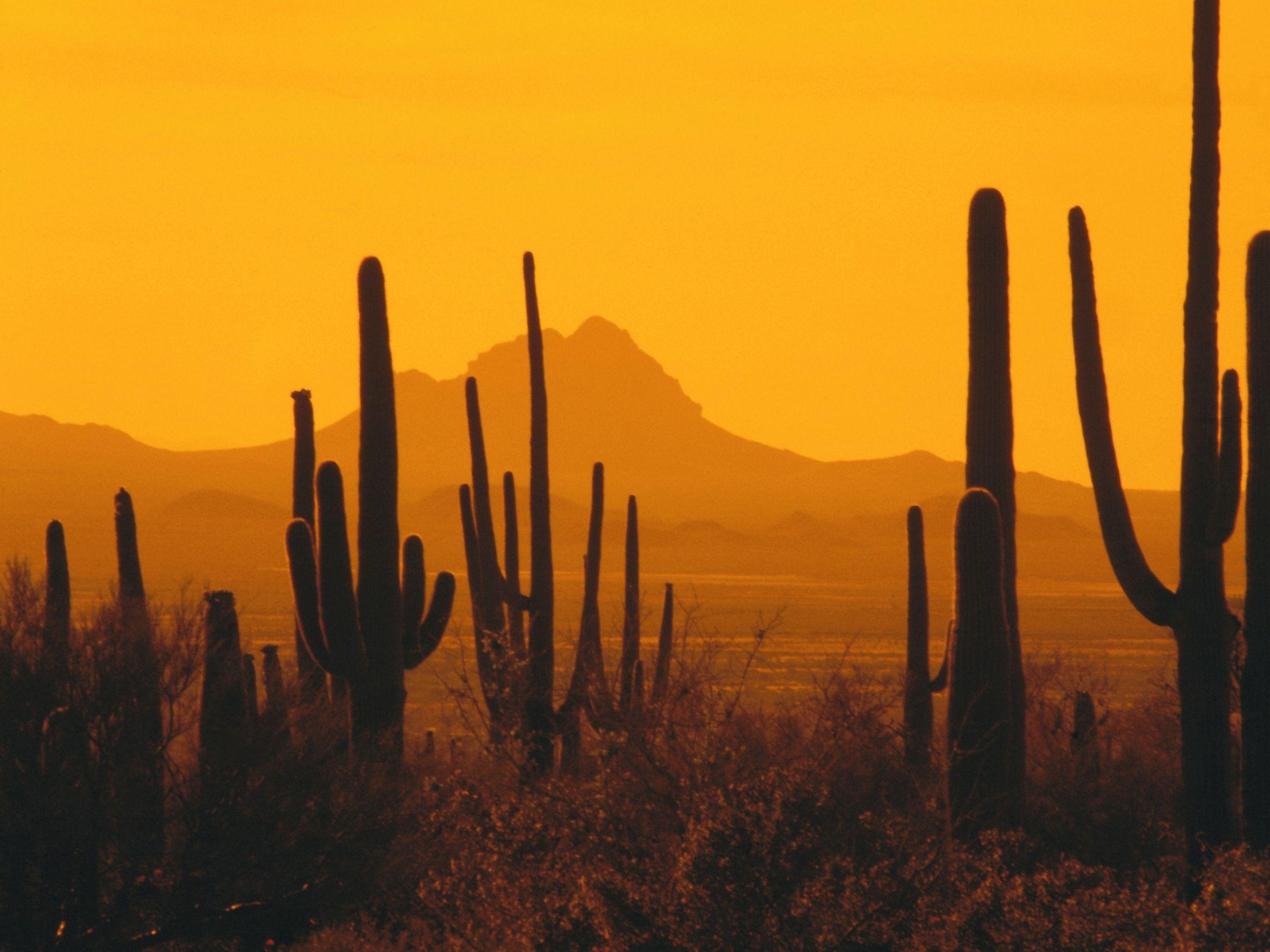 2400x1800 american southwest scenery. How Might Climate Change Affect, Desktop