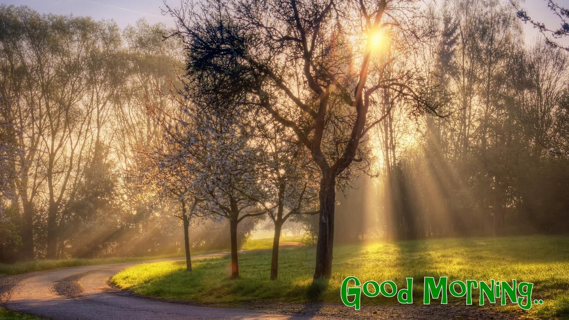 1920x1080 Good Morning Wallpaper, Desktop