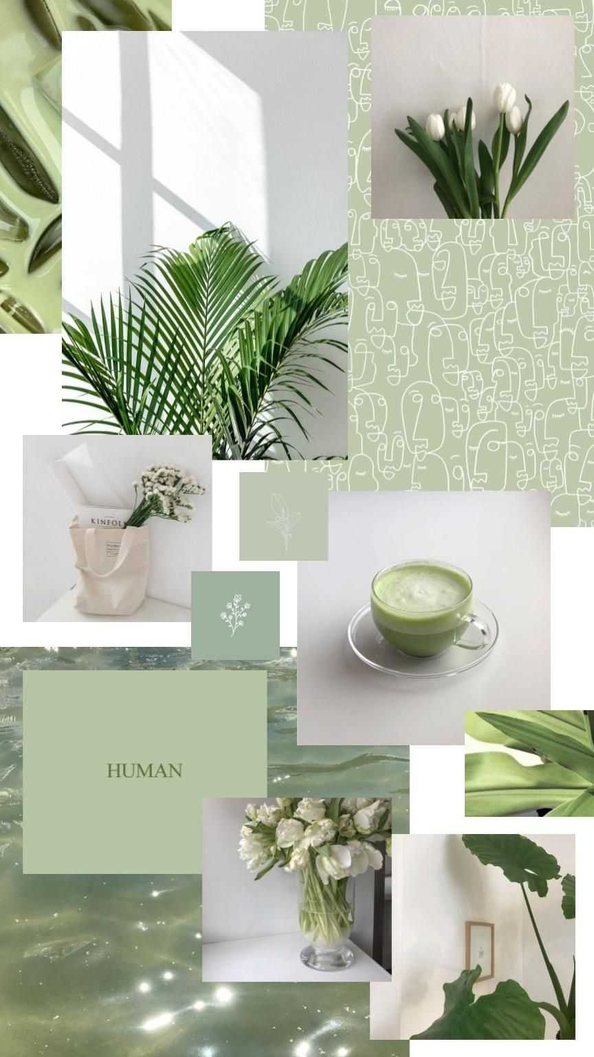 870x1540 Sage Green Aesthetic Wallpaper, Phone