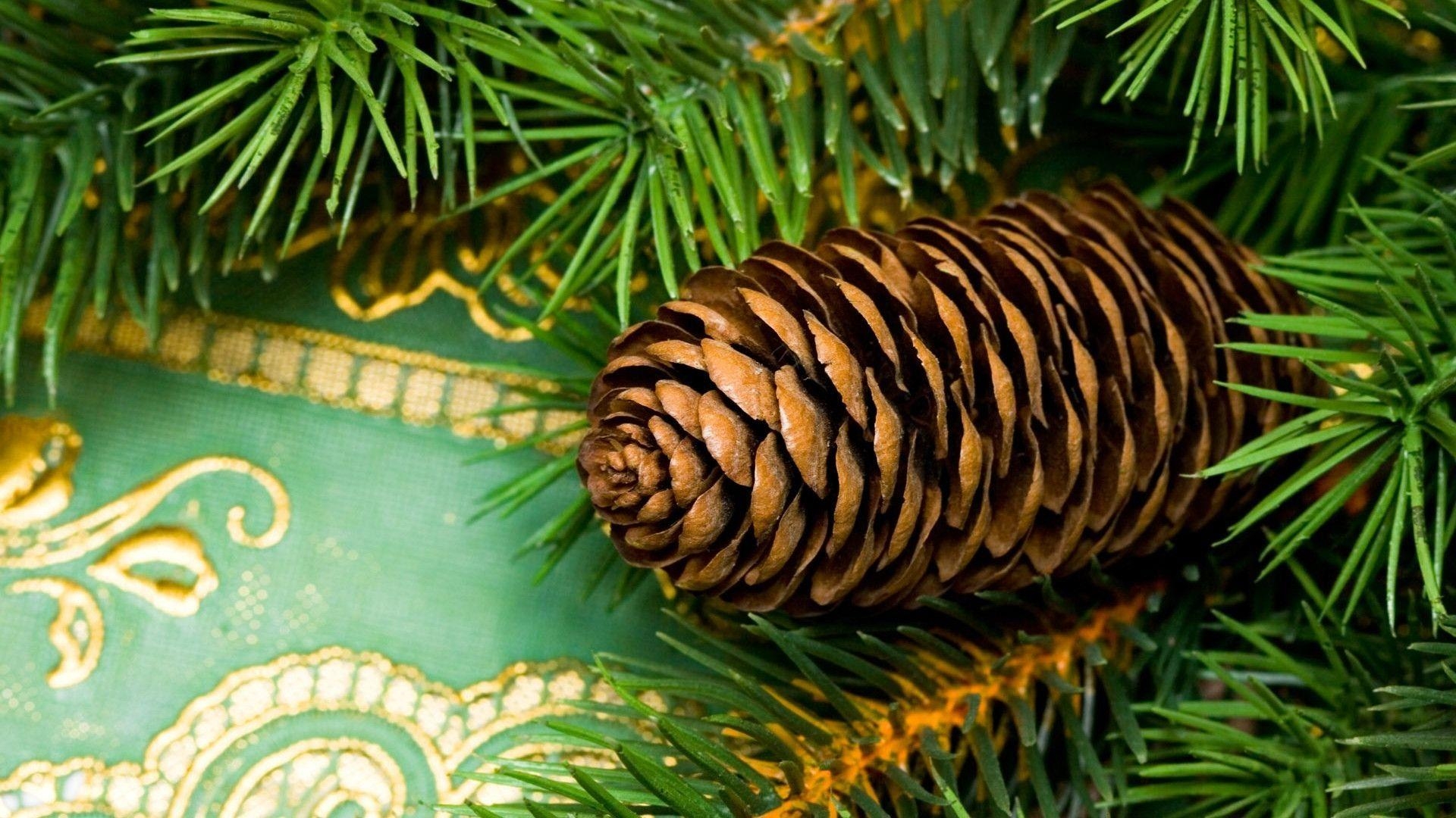 1920x1080 Pine Cone widescreen wallpaper. Wide, Desktop