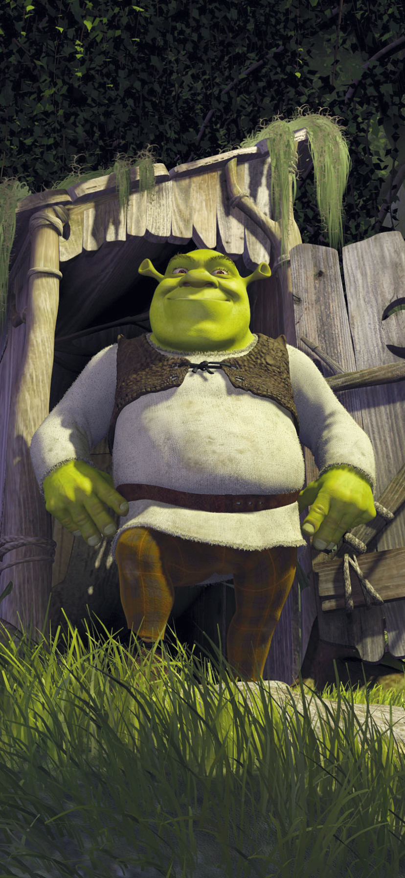 830x1800 Shrek Phone Wallpaper, Phone