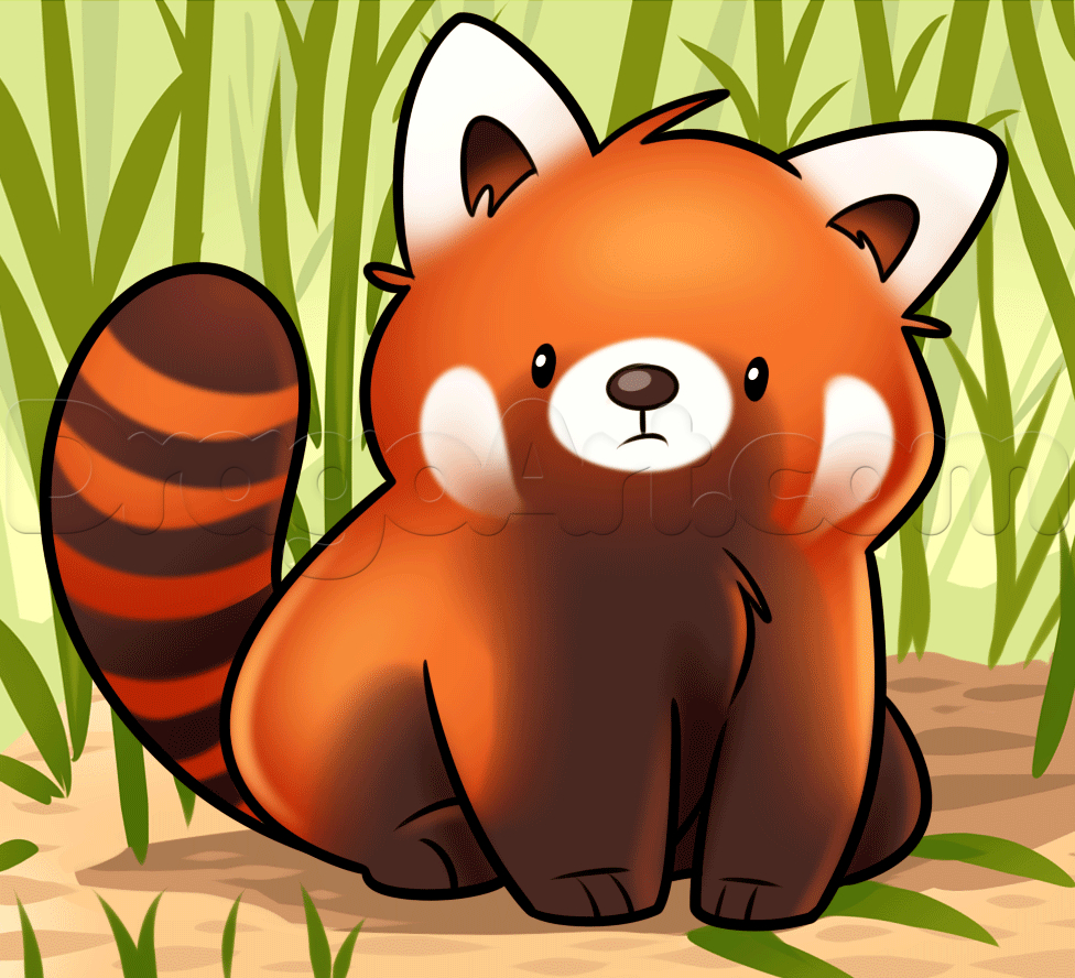 980x890 Red Panda, Step by Step, forest animals, Animals, FREE Online Drawing Tutorial, Added by Dawn, May. Panda drawing, Panda art, Cute panda drawing, Desktop