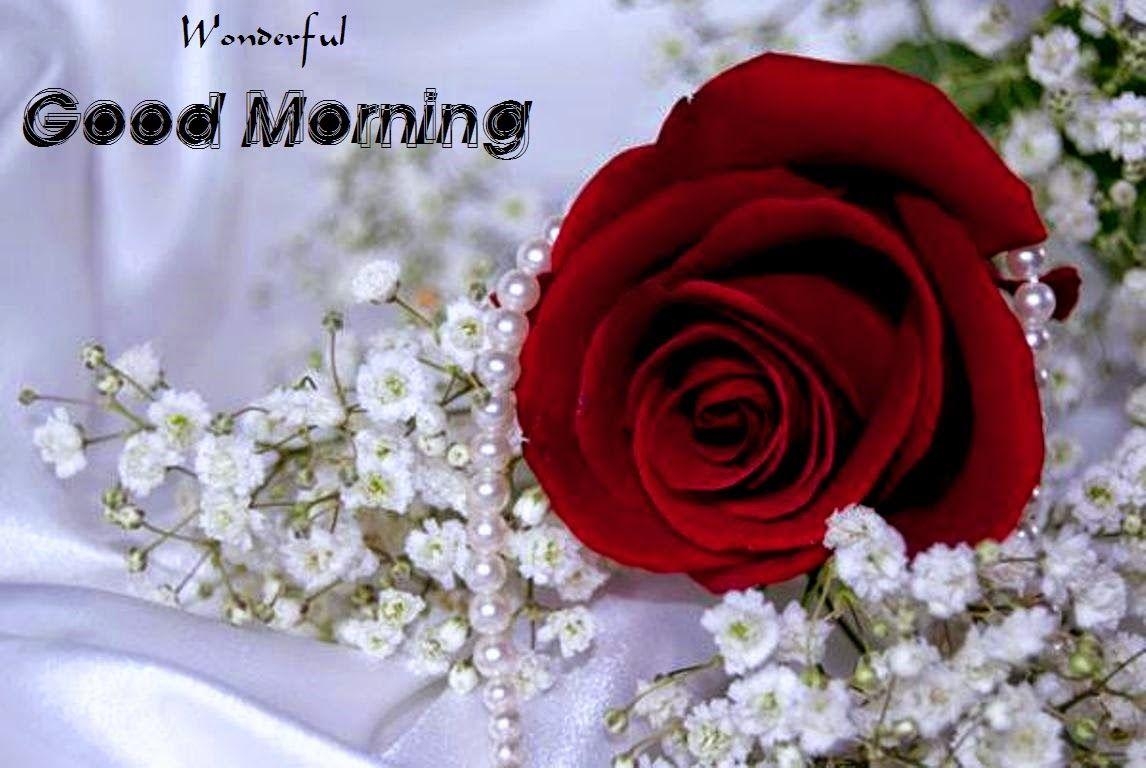 1150x770 Girlfriends Good Morning Red Rose Wallpaper Download Full HD Wall, Desktop