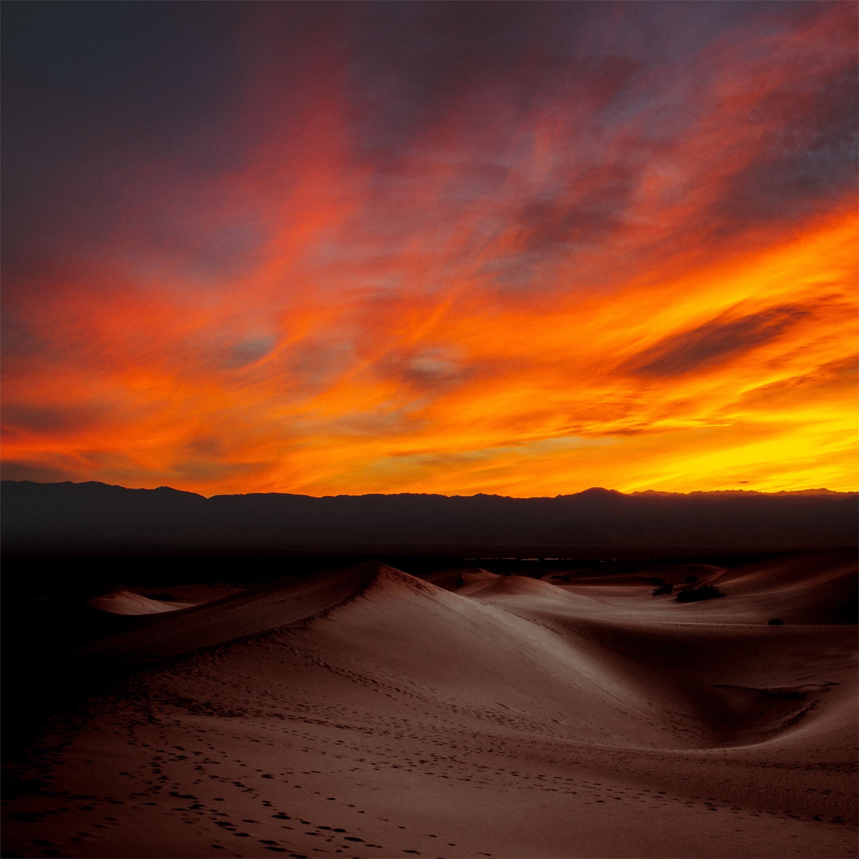 2740x2740 burning sunset dark desert 4k iPad Pro Wallpaper Free Download, Phone