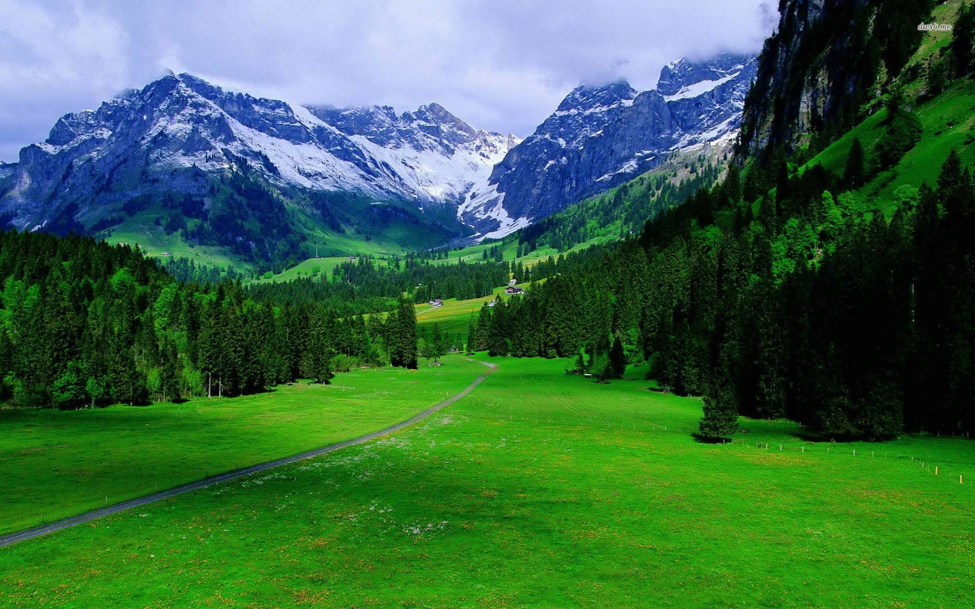 1920x1200 The Alps In Switzerland Nature Wallpaper  px Free, Desktop