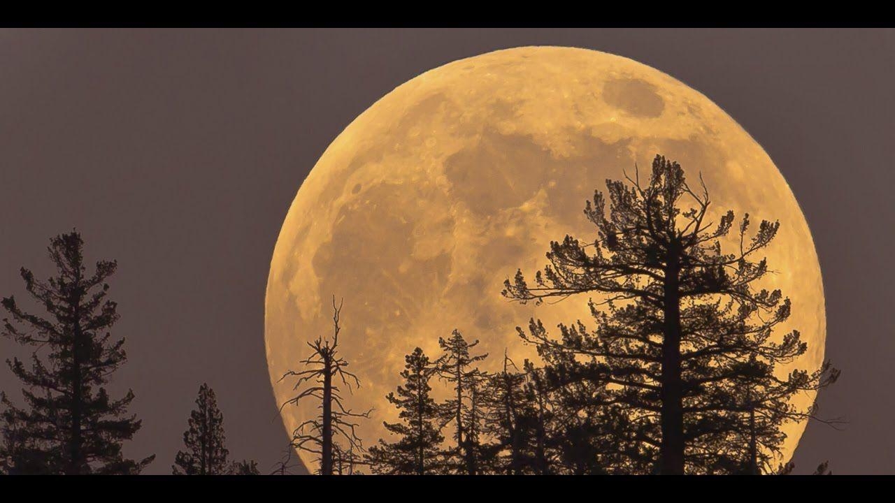 1280x720 SuperMoon (44 Wallpaper), Desktop