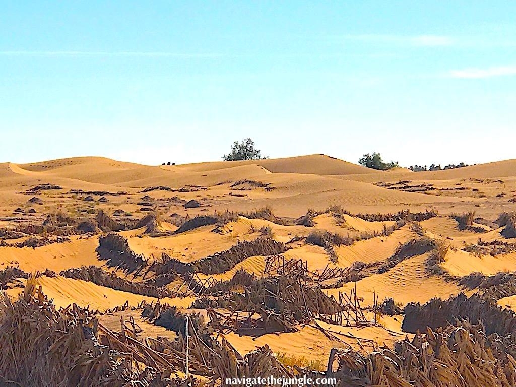 1030x770 Experience the contrasting landscapes of the Draa valley and travel, Desktop