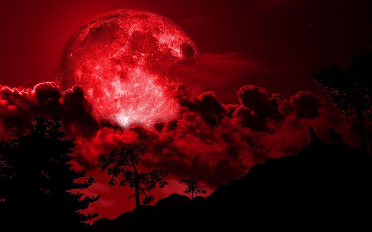 1280x800 Red Moon Wallpaper Free Red Moon Background, Desktop