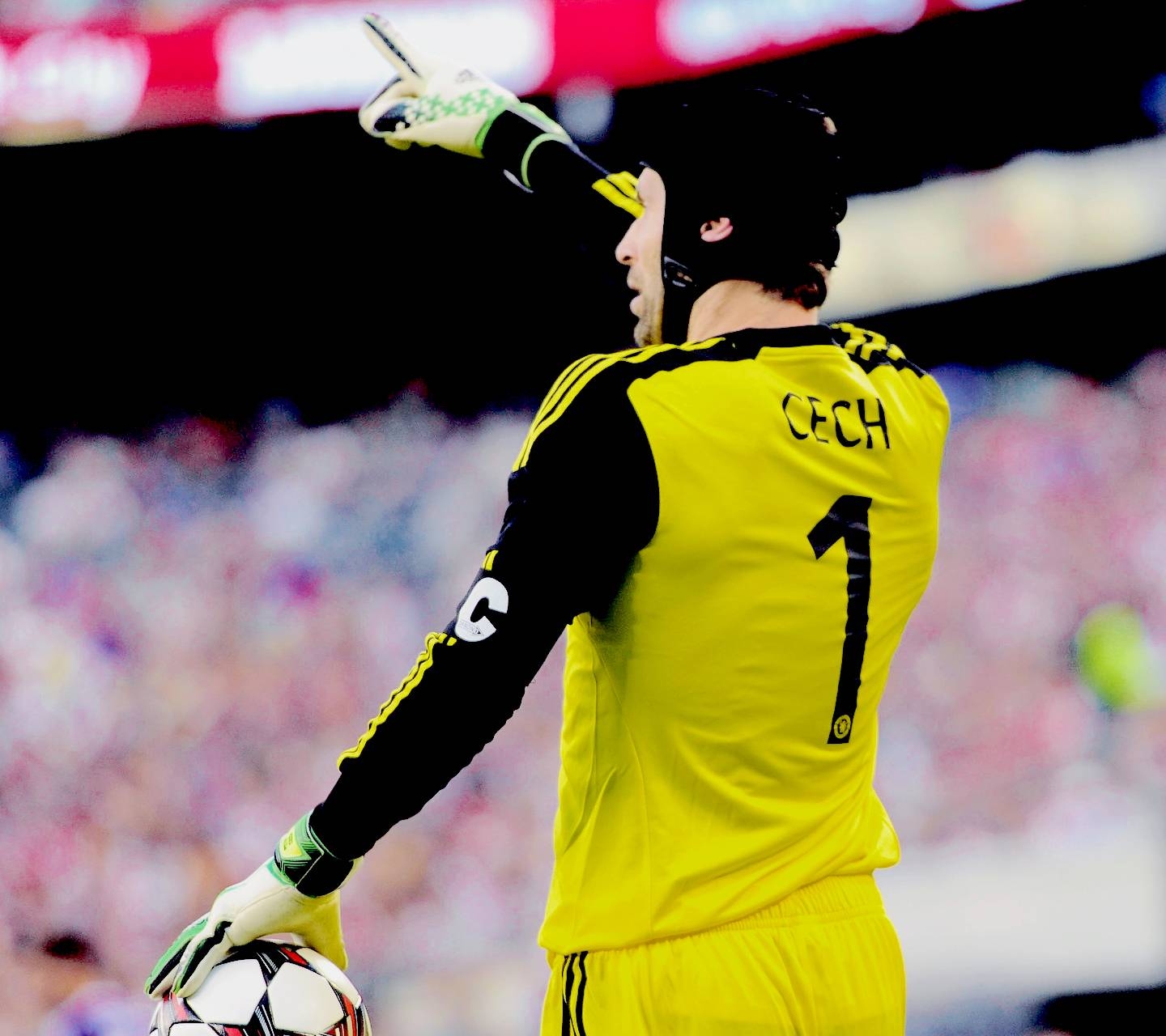 1440x1280 Petr Cech wallpaper, Desktop