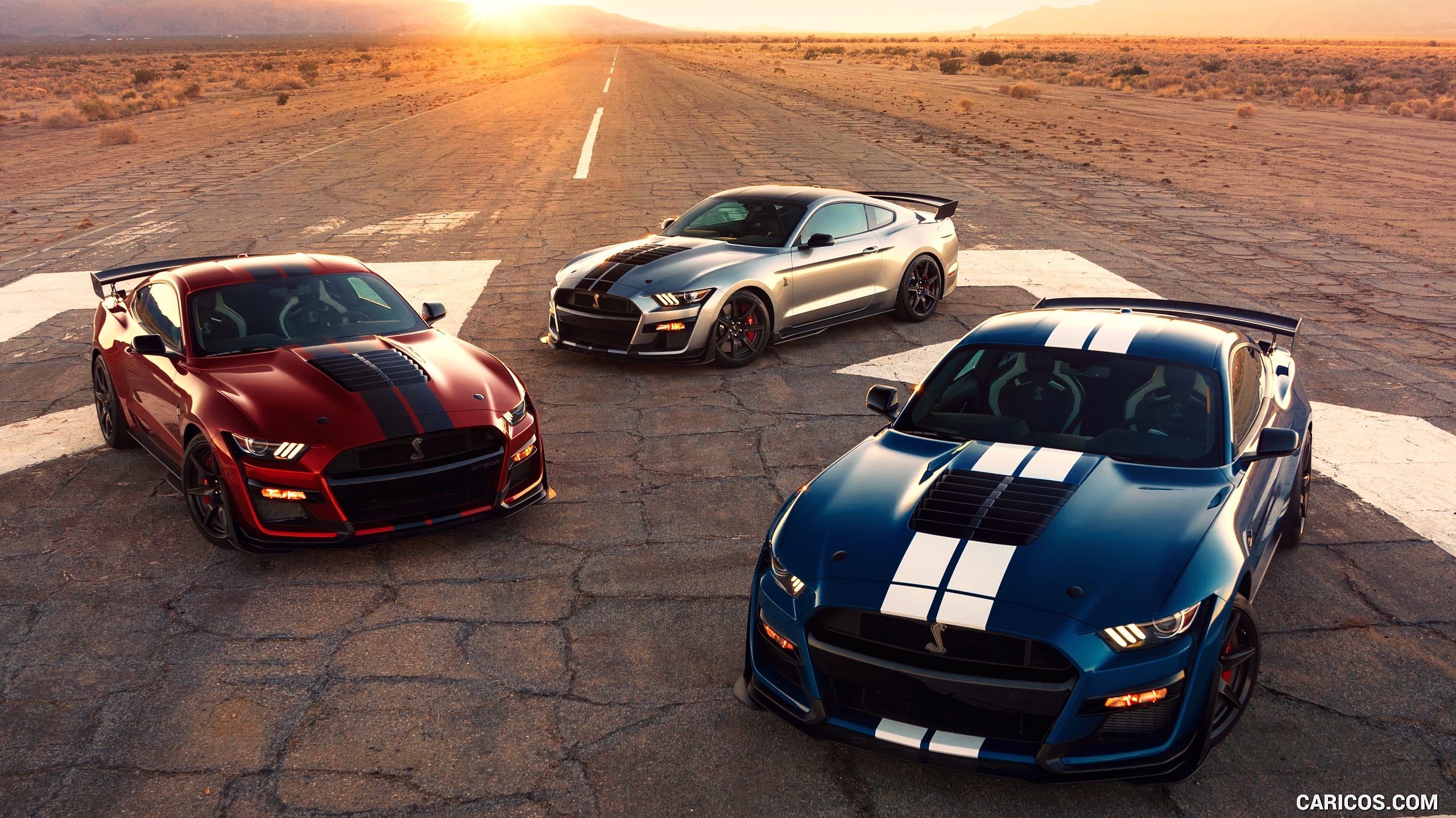 2560x1440 Ford Mustang Shelby GT500. HD Wallpaper, Desktop