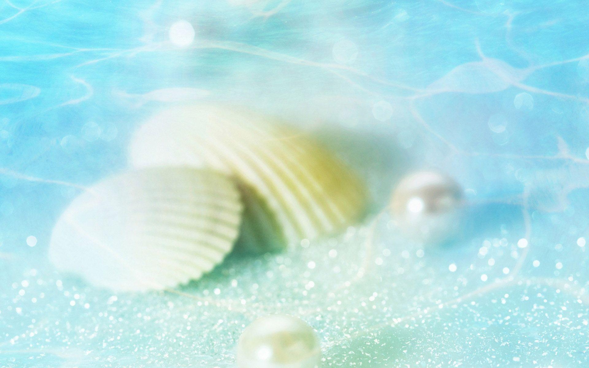 1920x1200 White Seashell In Water Wallpaper, Desktop